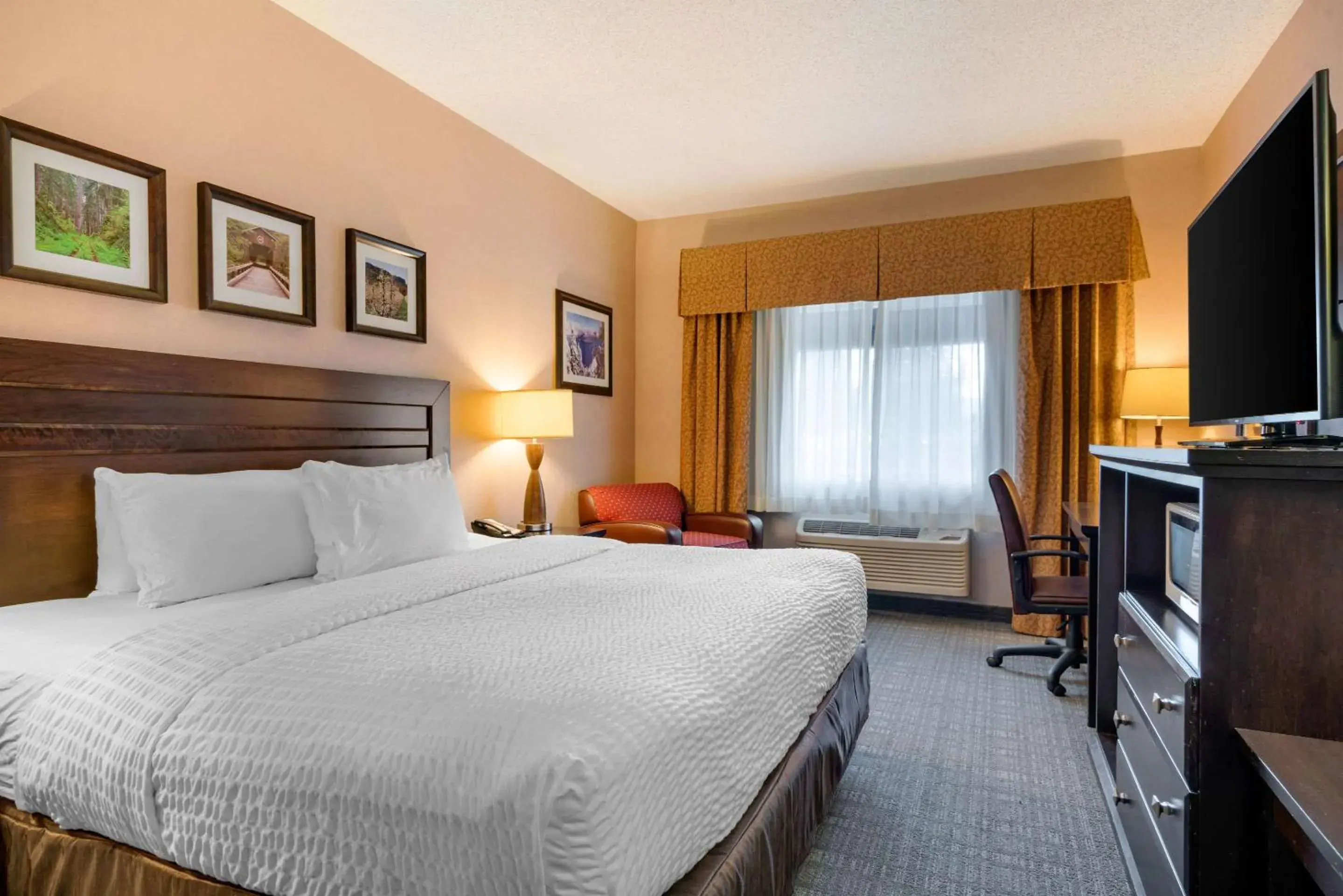 Photo of the whole room, Bed in Clarion Pointe Medford Photo of the whole room, Bed in Clarion Pointe Medford