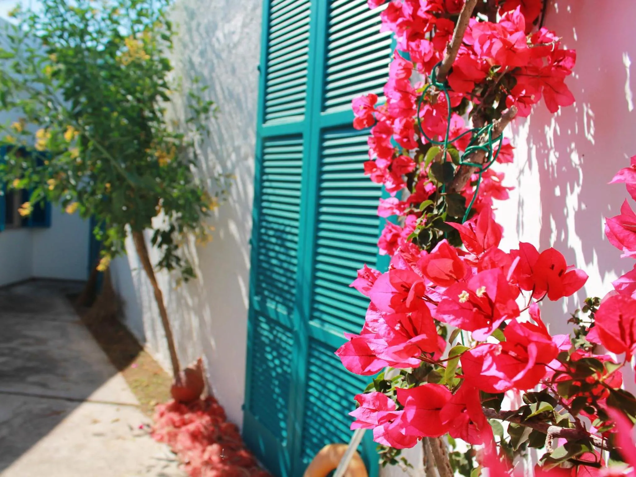 Garden in Villa Perla di Mare