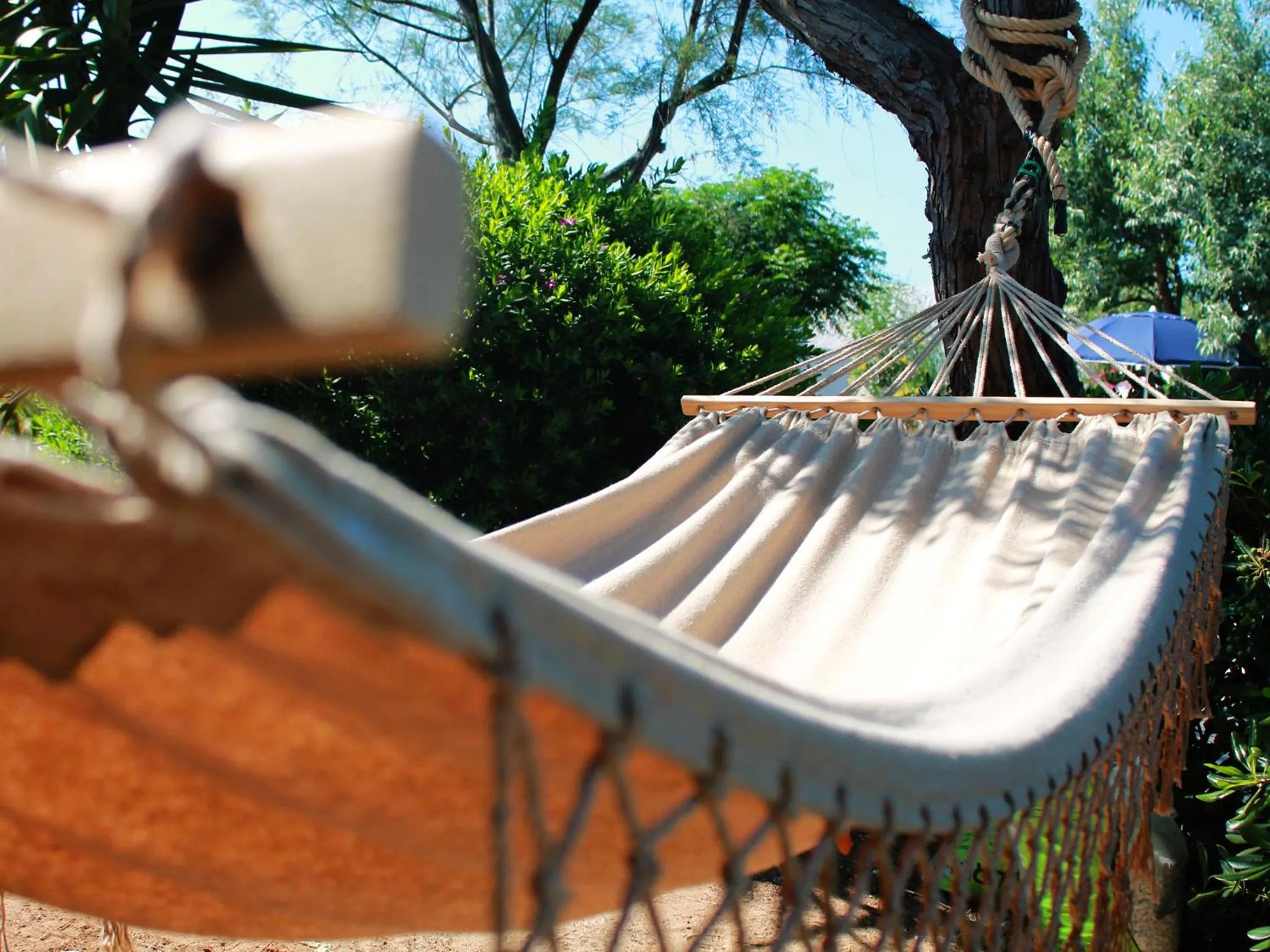 Garden in Villa Perla di Mare