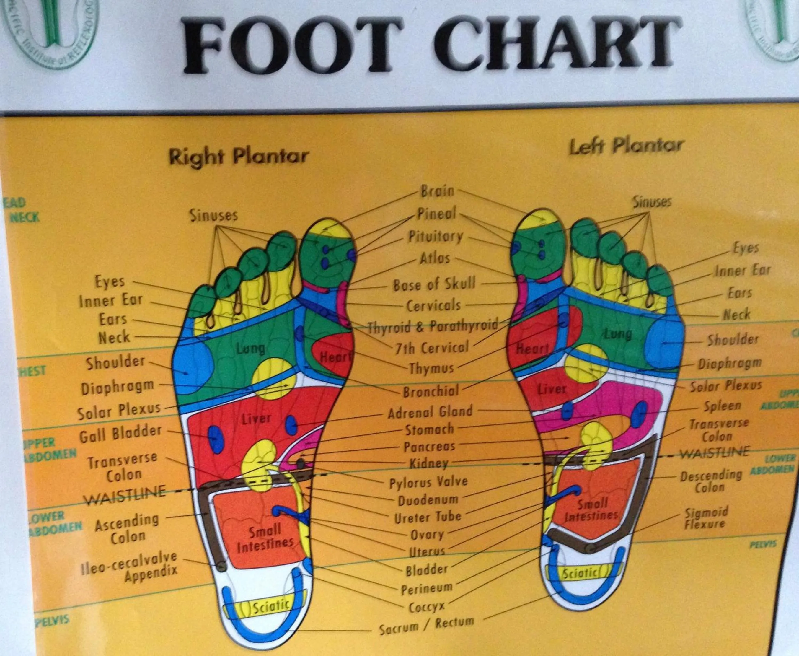 Activities in Estuary House Reflexology B&B