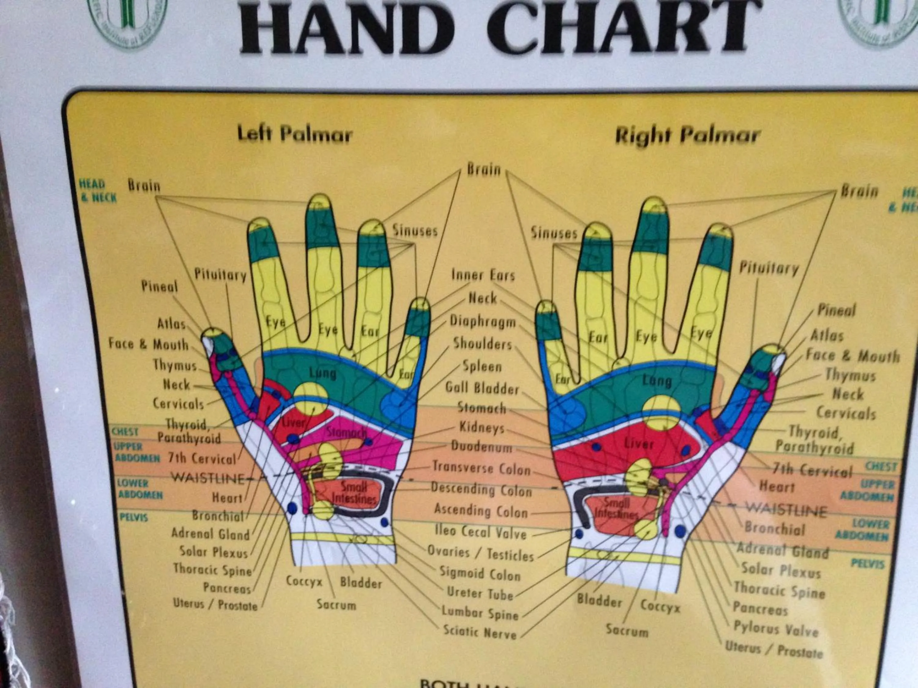 Activities in Estuary House Reflexology B&B