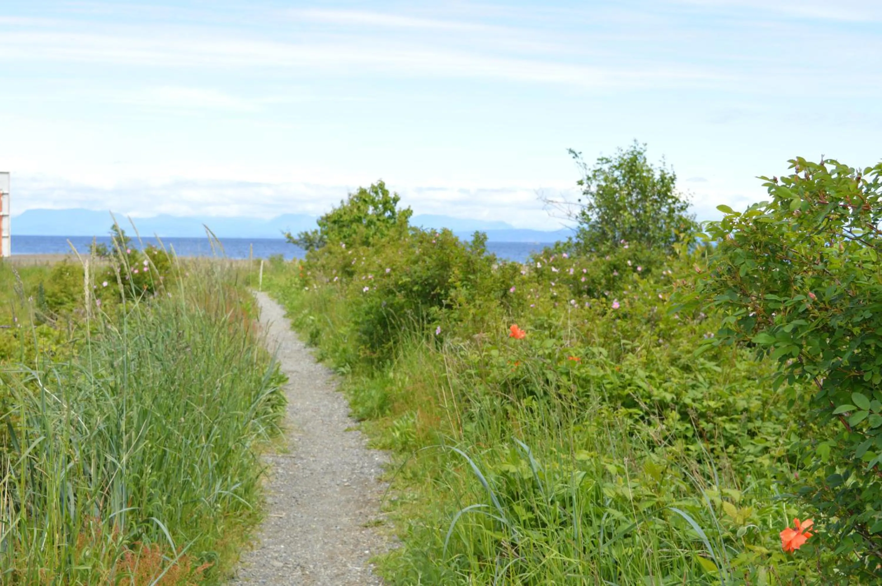 Activities in Estuary House Reflexology B&B
