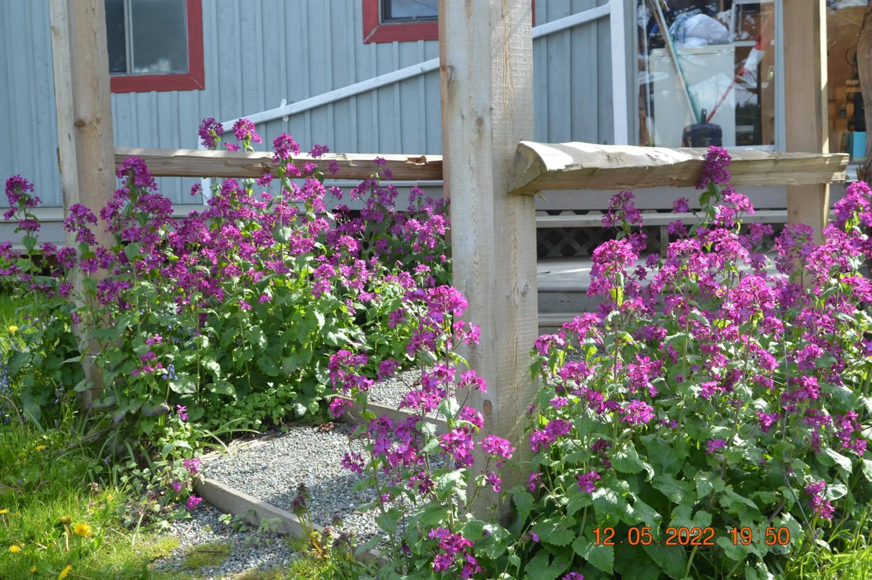 Garden in Estuary House Reflexology B&B