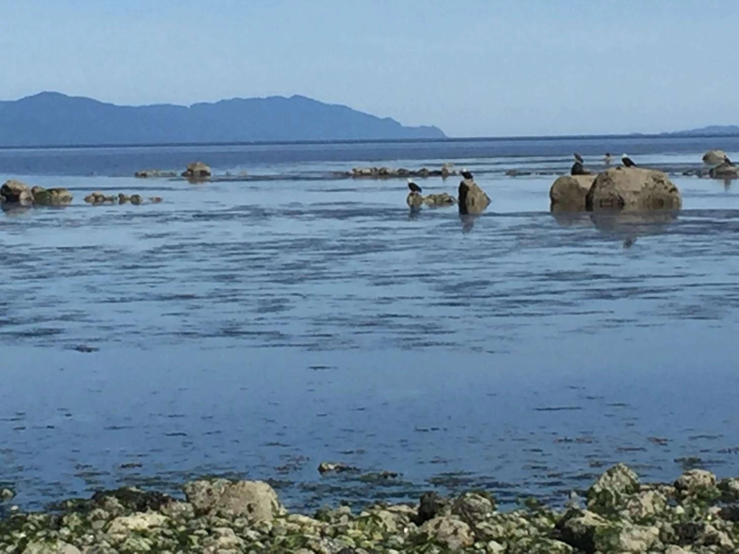 Beach in Estuary House Reflexology B&B