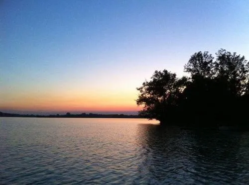 Natural landscape in Riverview Motel