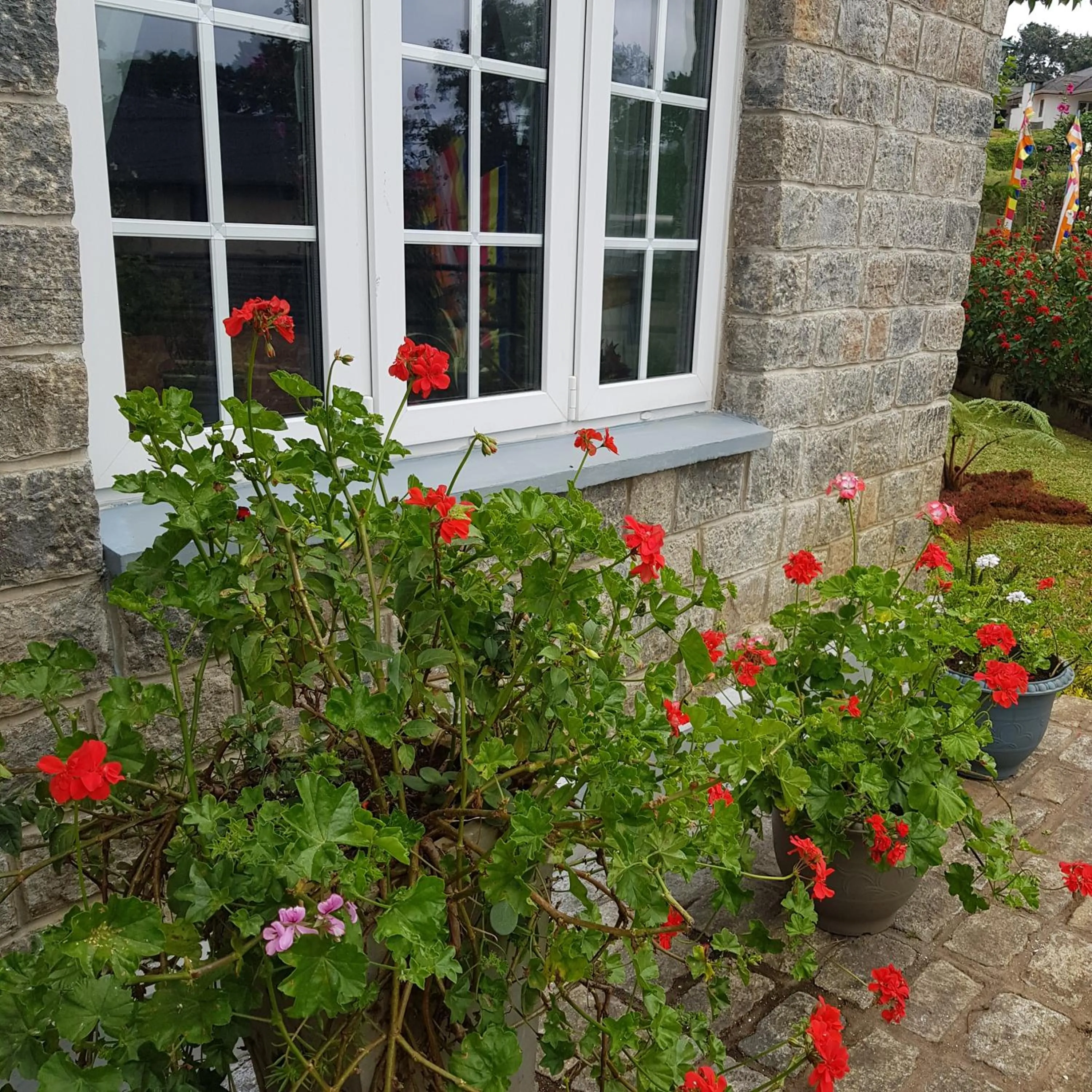 Garden view in The Planter's Legacy By Fairway