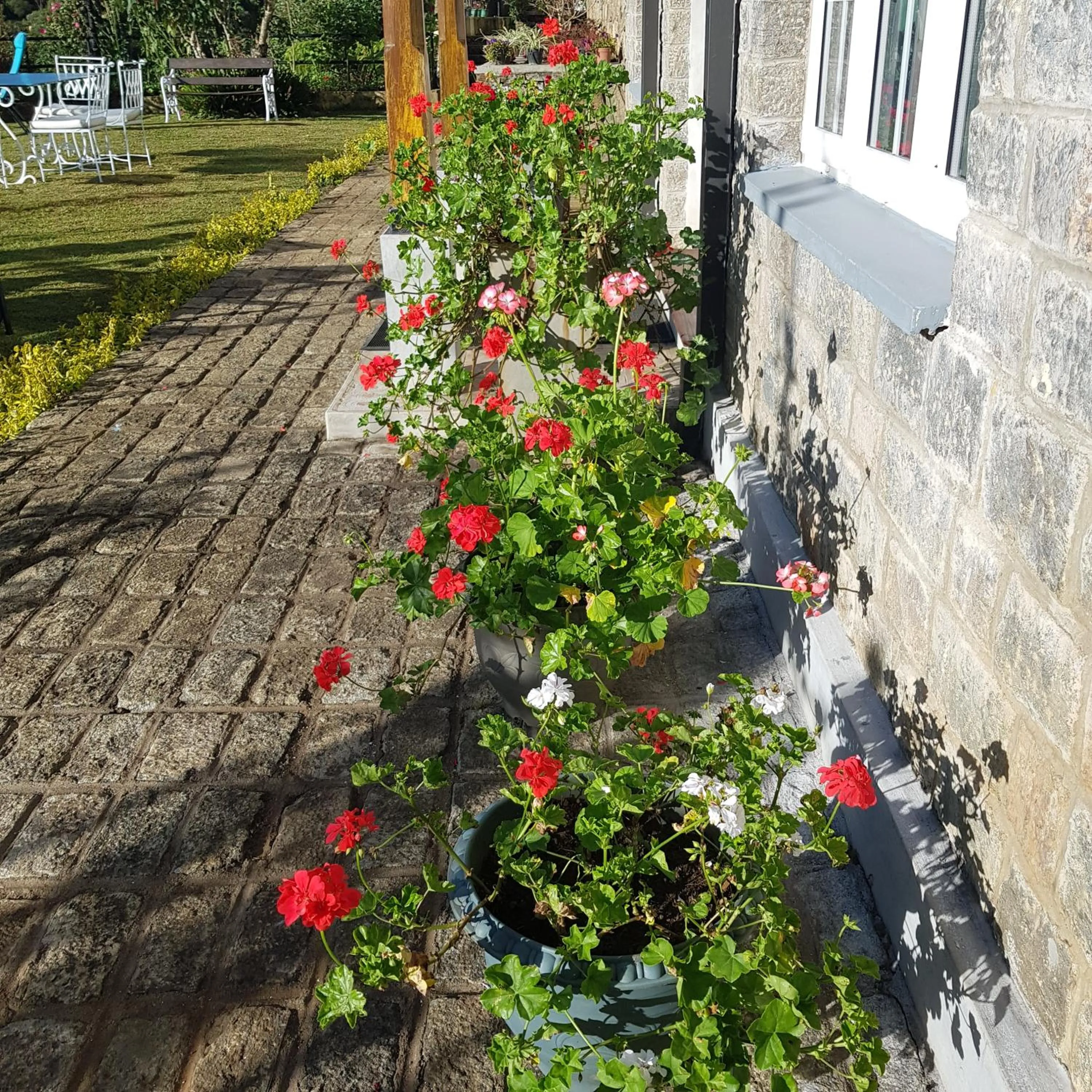 Garden in The Planter's Legacy By Fairway