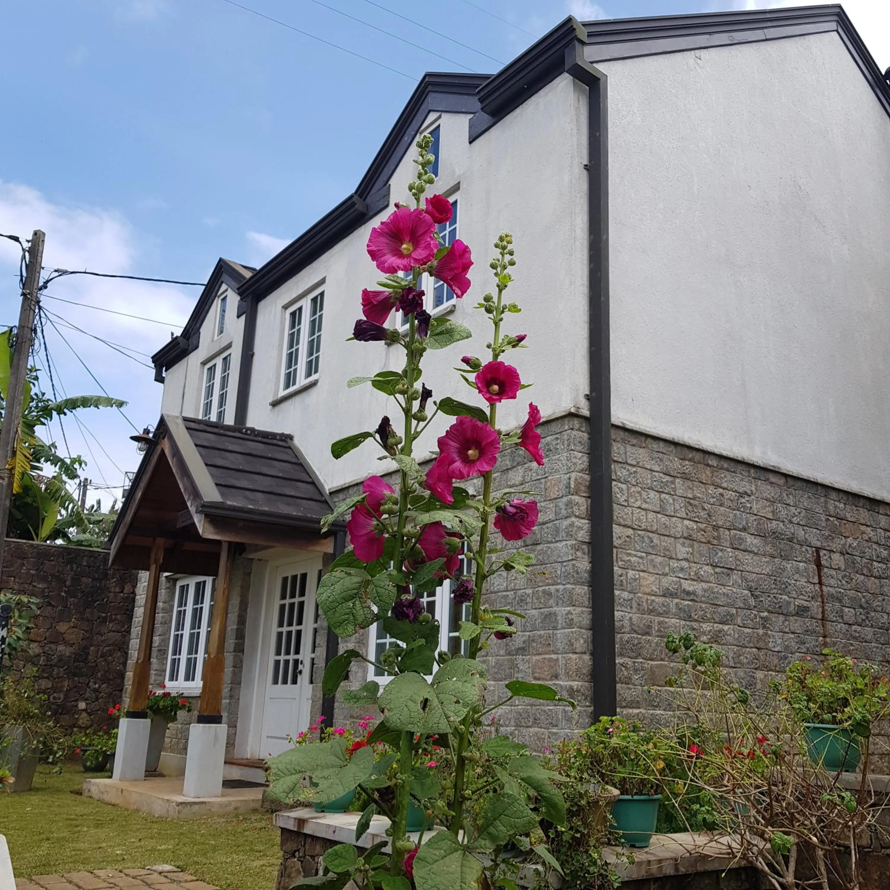 Property building in The Planter's Legacy By Fairway