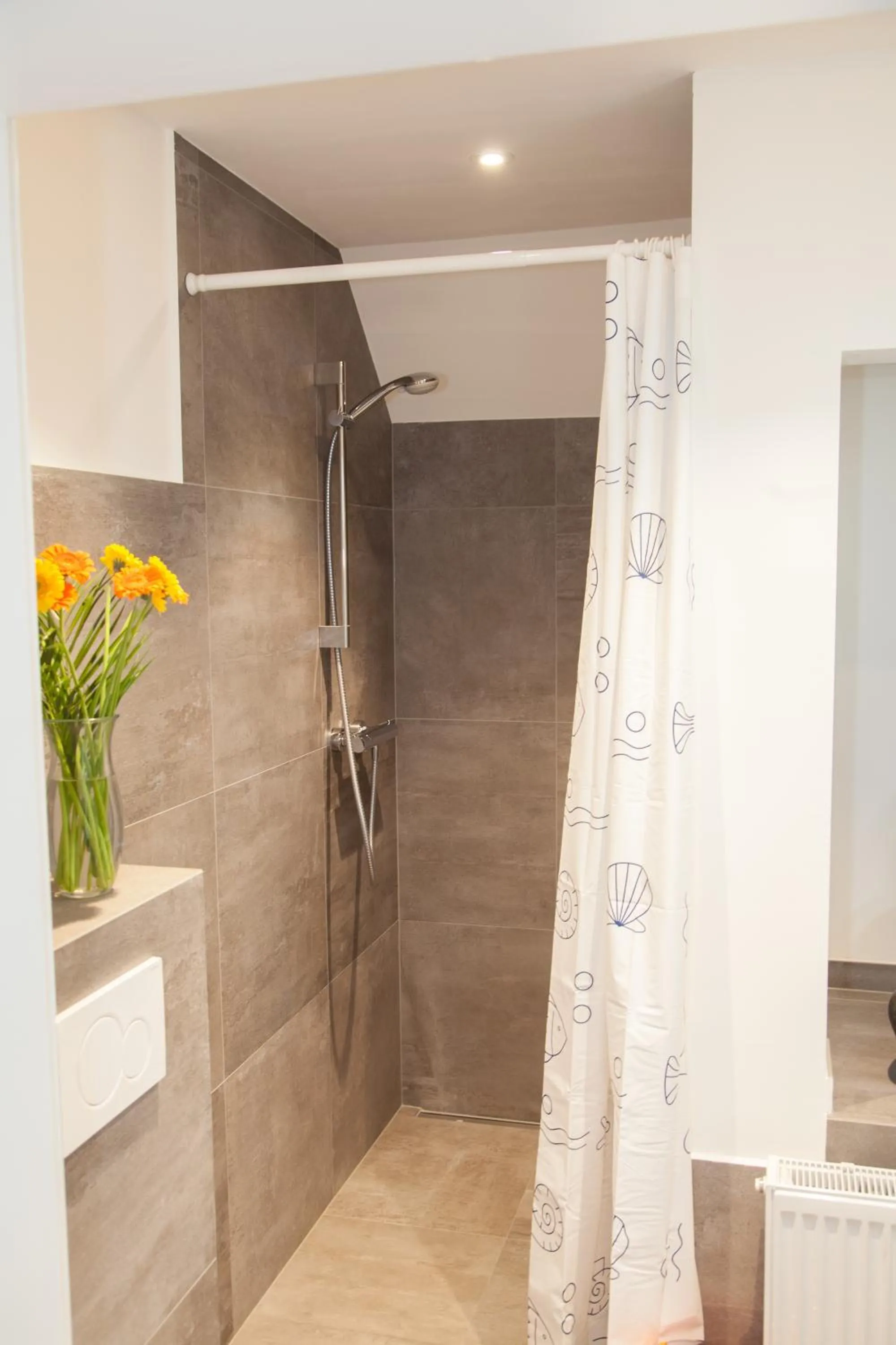 Shower in Apartment Haus Heidelberg