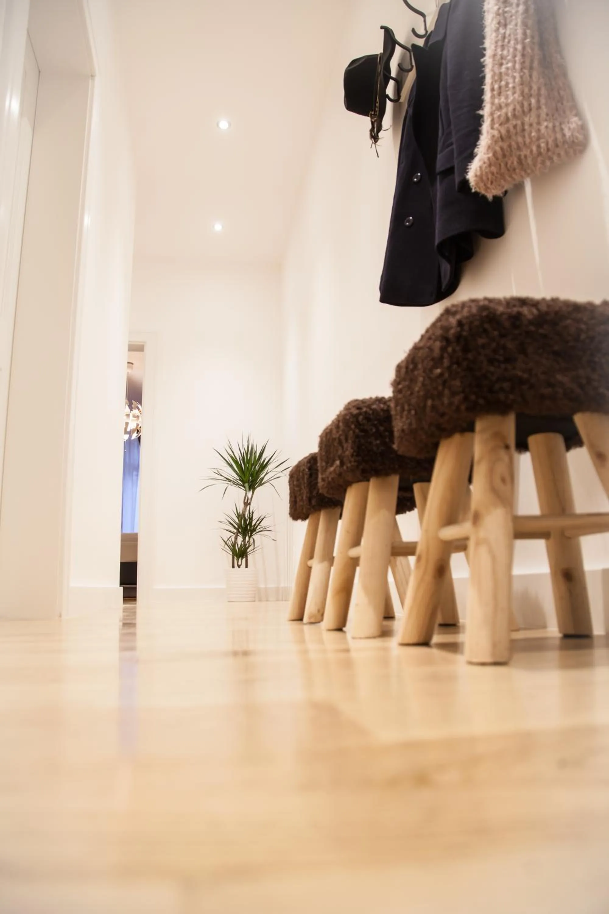 Area and facilities in Apartment Haus Heidelberg