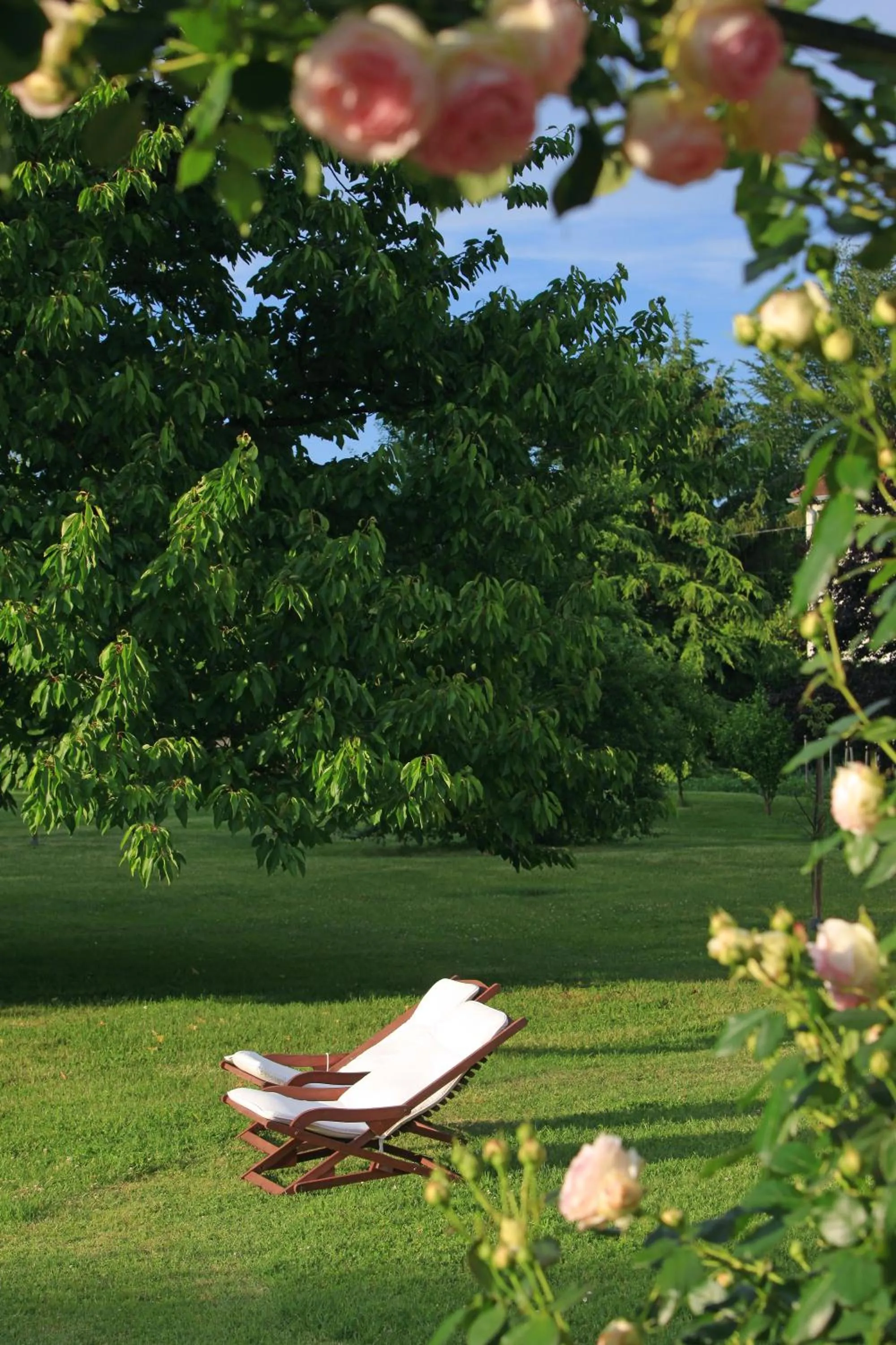 Natural landscape in La Maison d'Anais