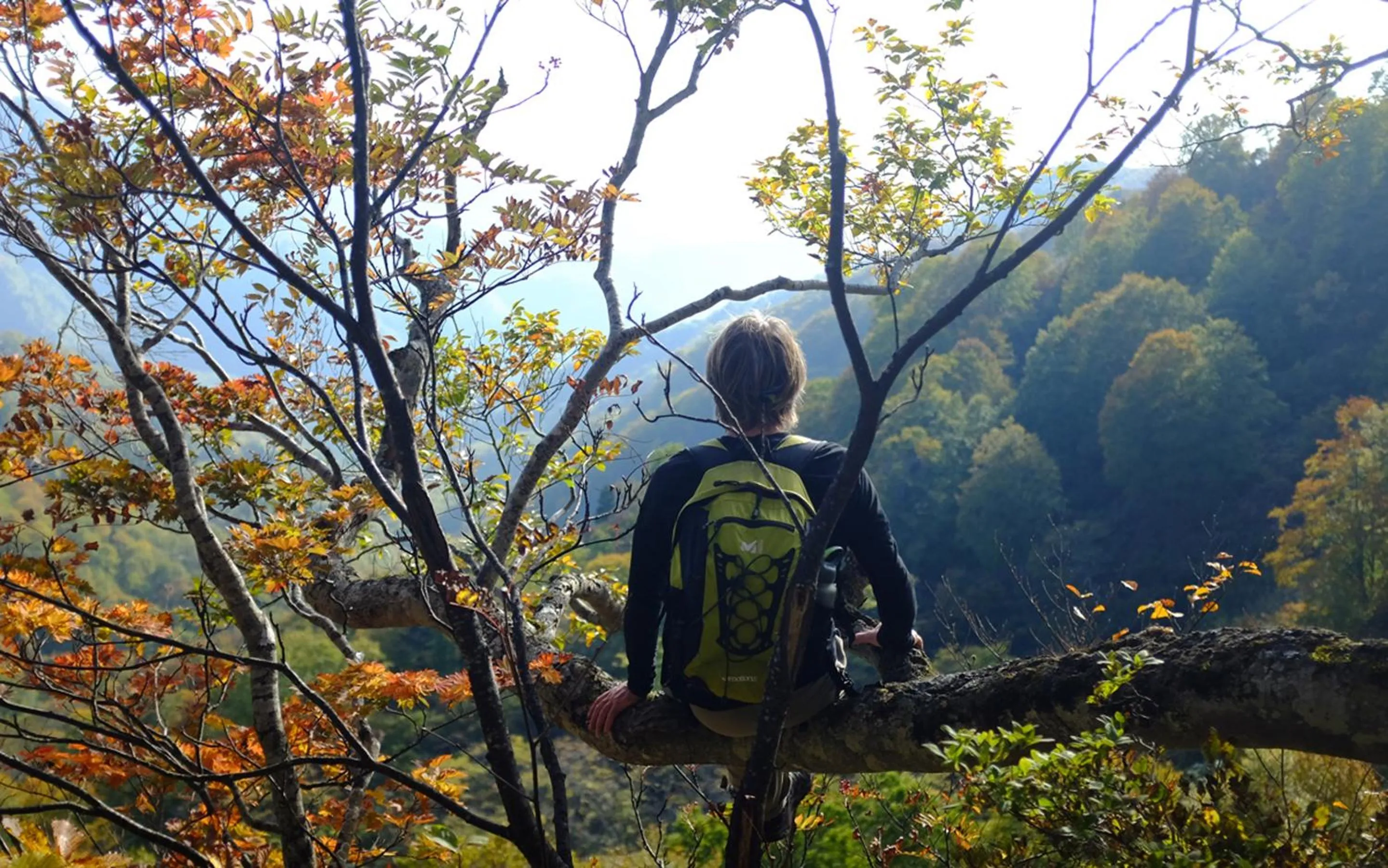 Natural landscape in Nozawa View Hotel Shimataya