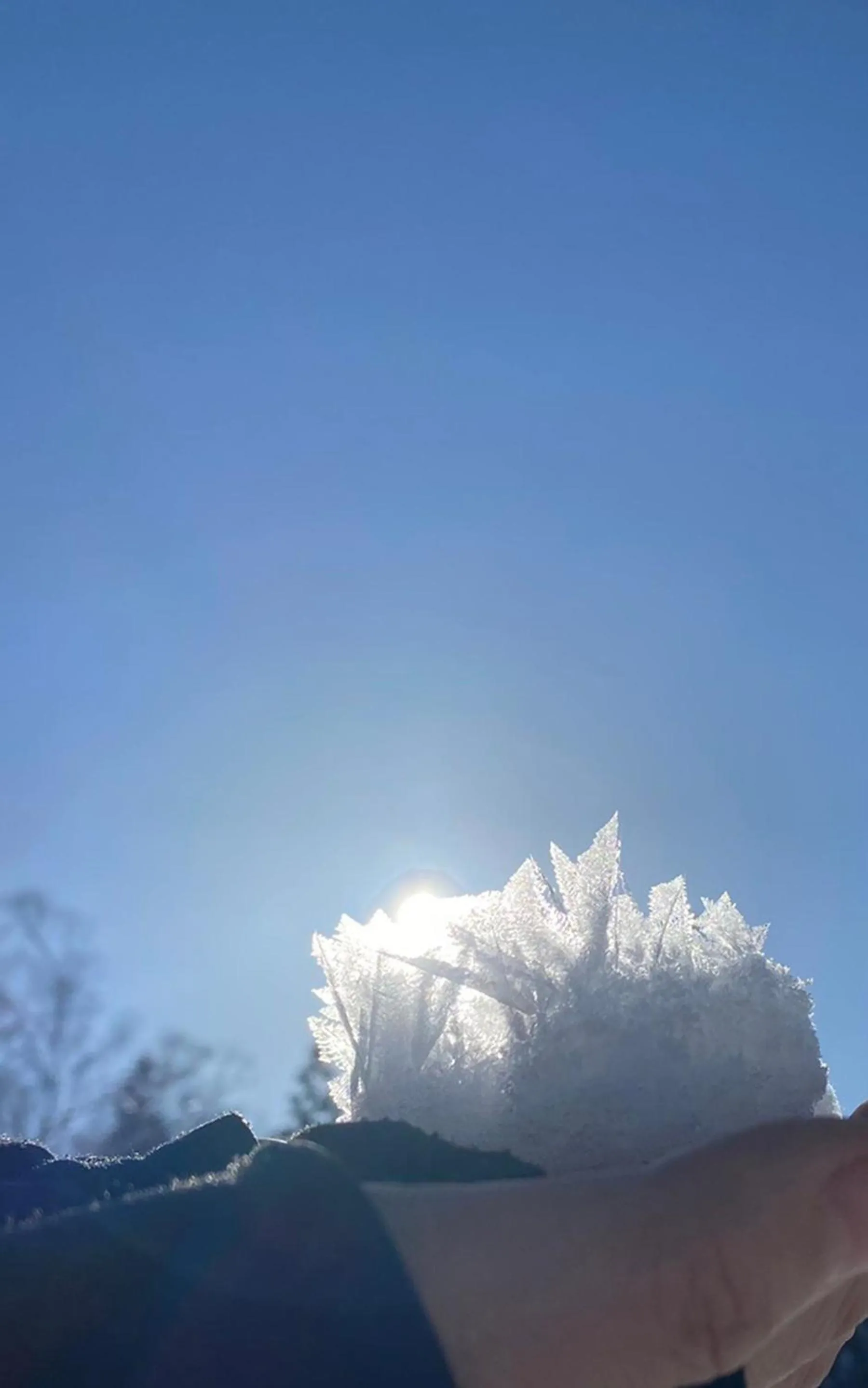 Winter in Nozawa View Hotel Shimataya