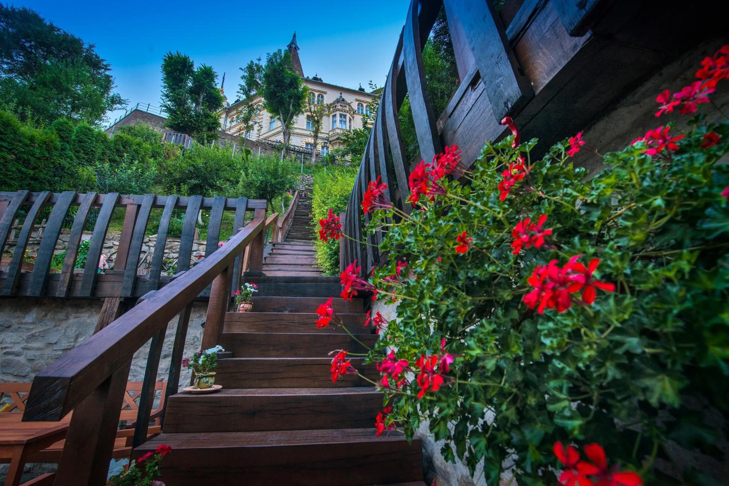 Garden in Casa Savri