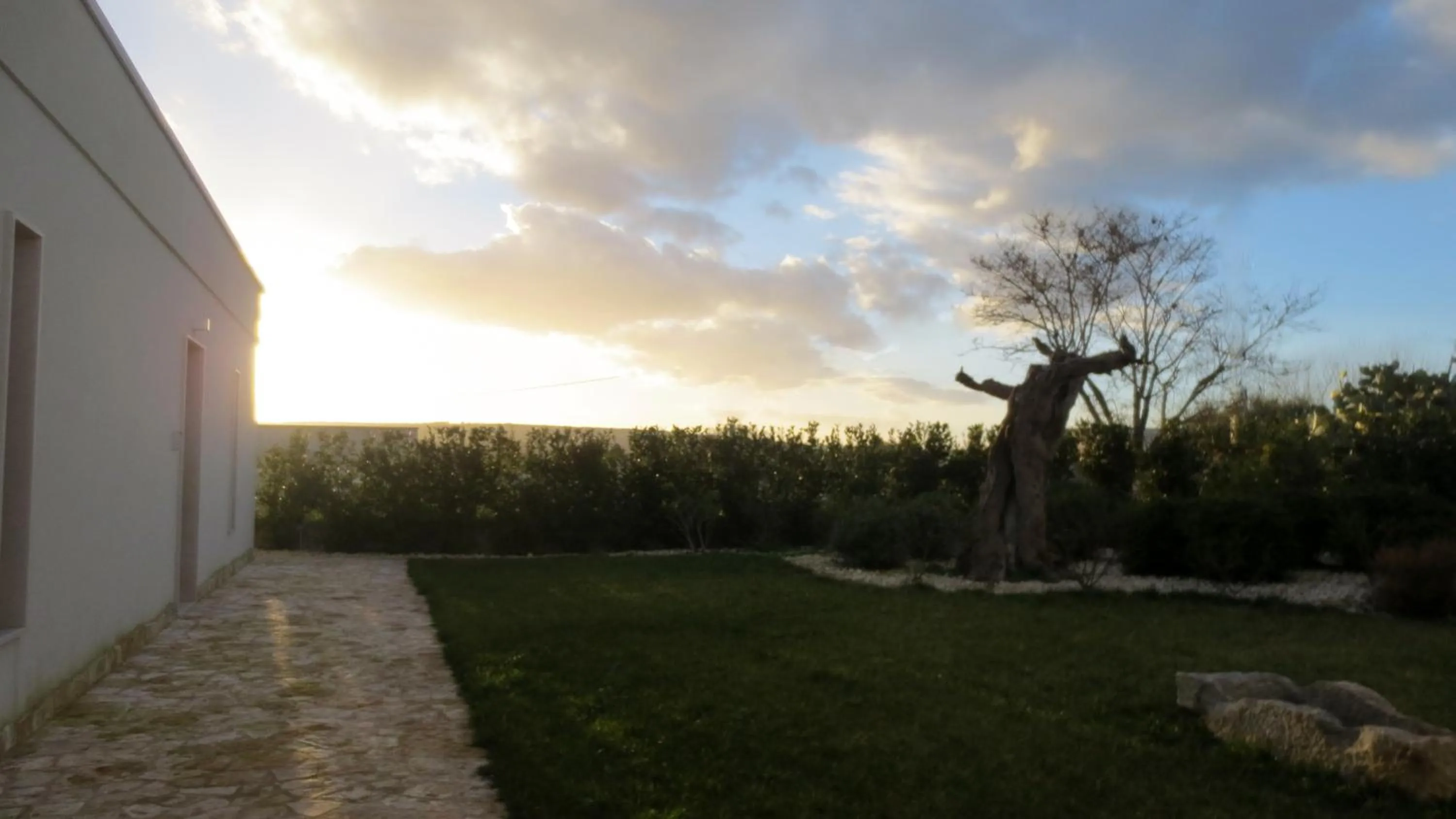 Garden view in Masseria Corte Masseriola