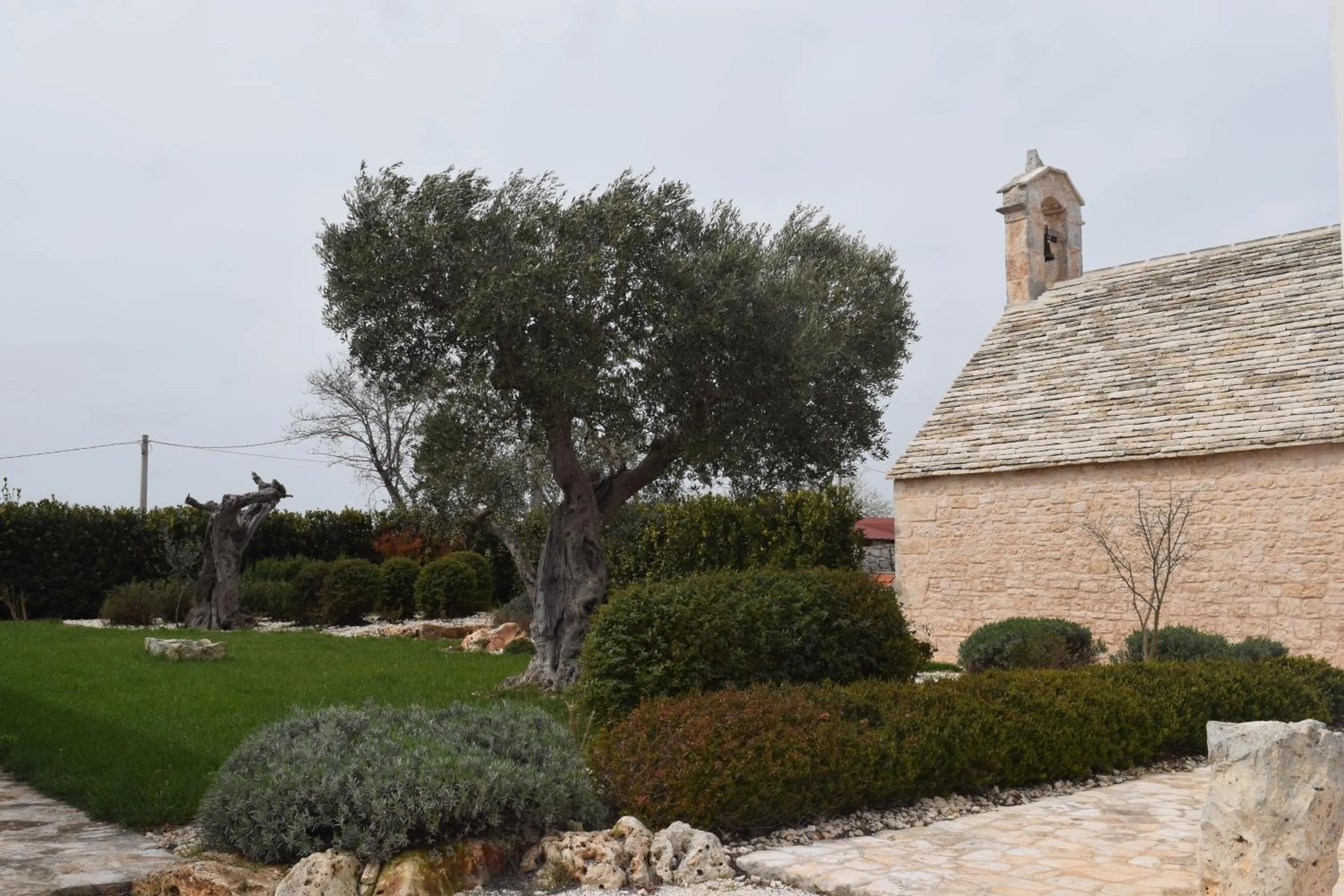 Garden view in Masseria Corte Masseriola