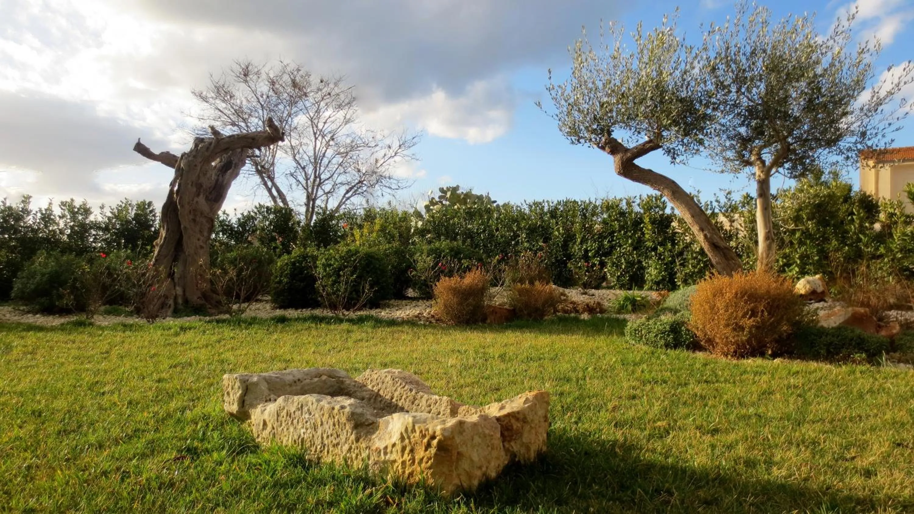 Garden view in Masseria Corte Masseriola