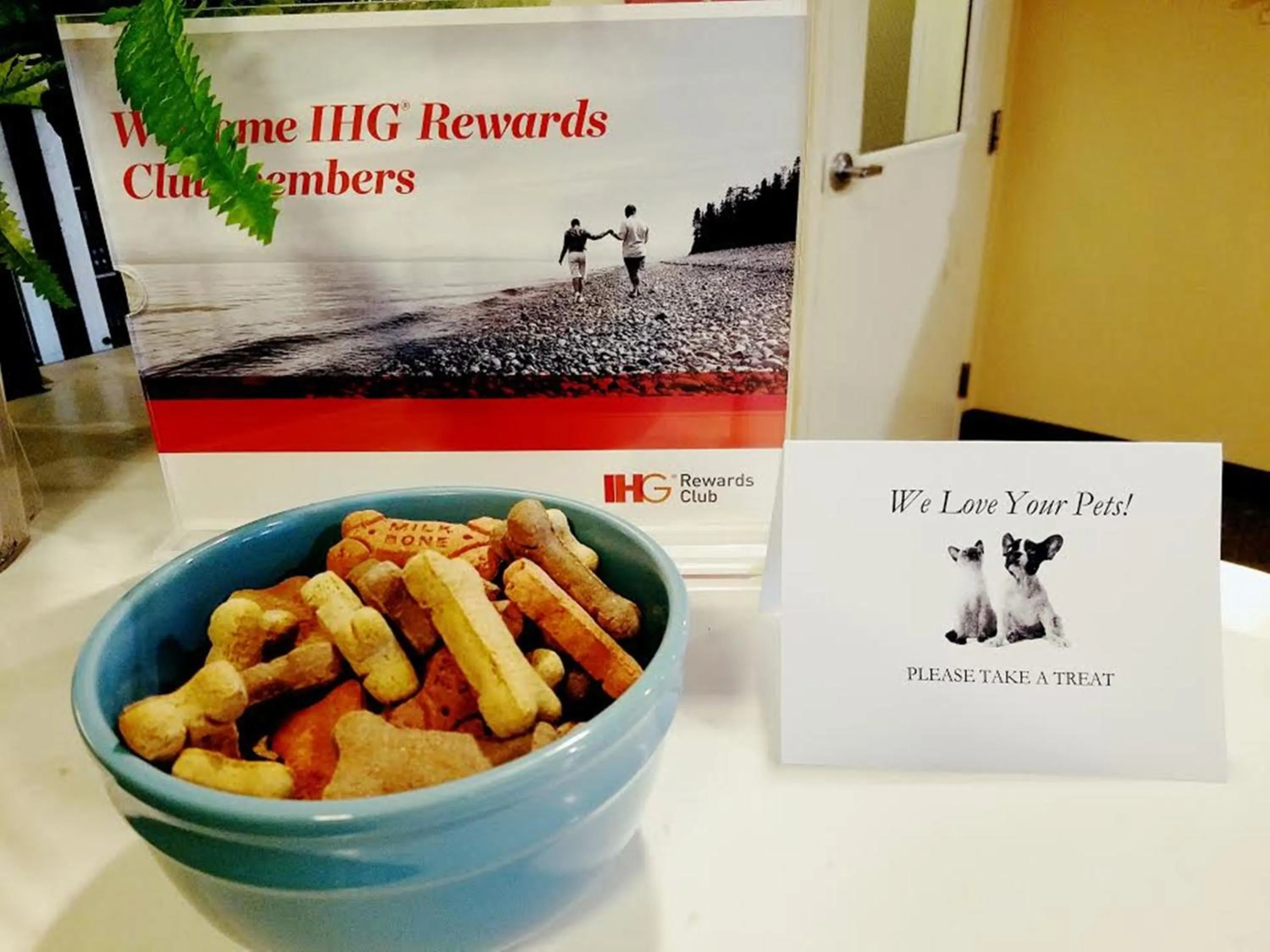 Other in Candlewood Suites - East Syracuse - Carrier Circle by IHG