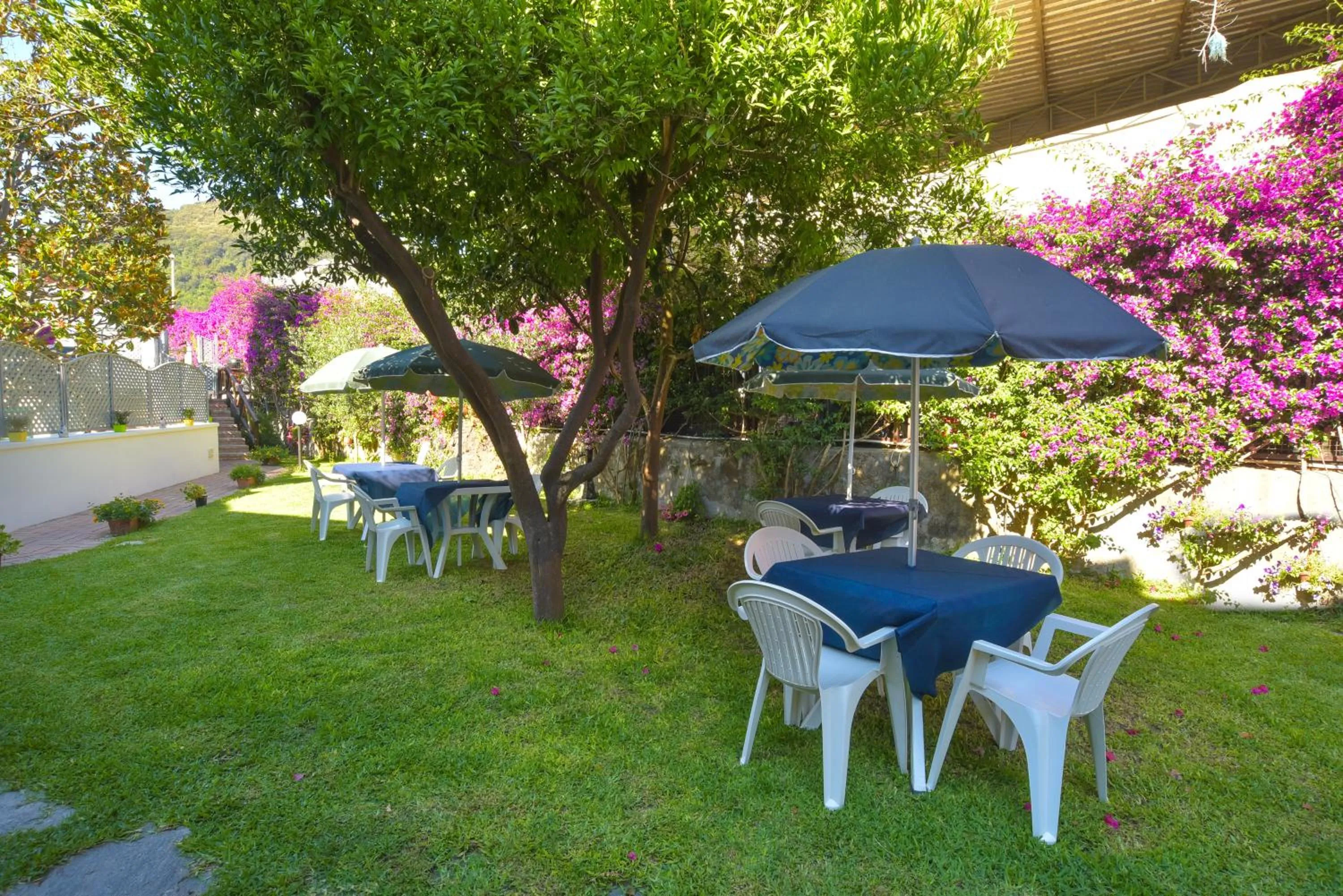 Garden in Villa al Porto