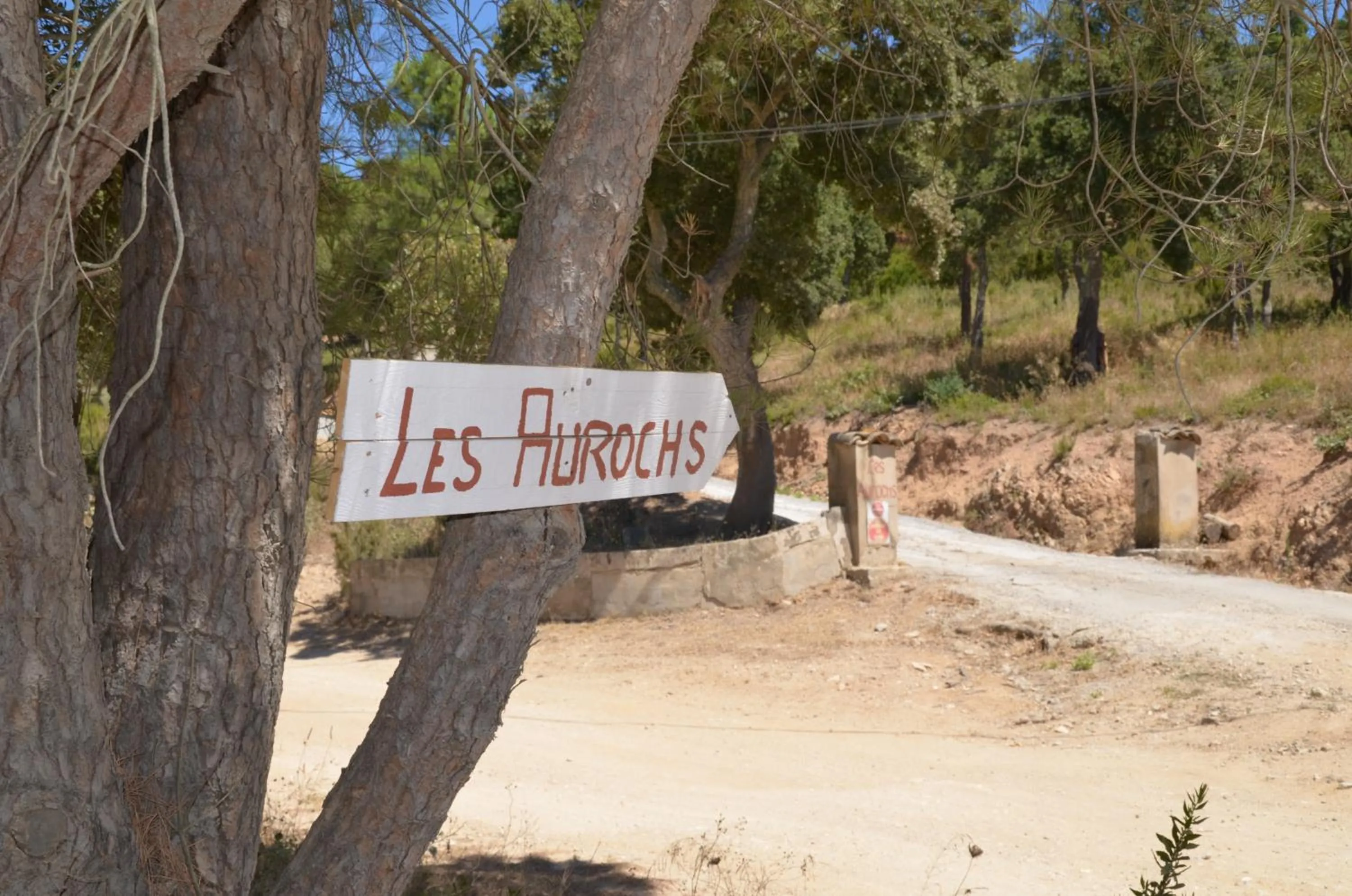 Logo/Certificate/Sign in Les Aurochs