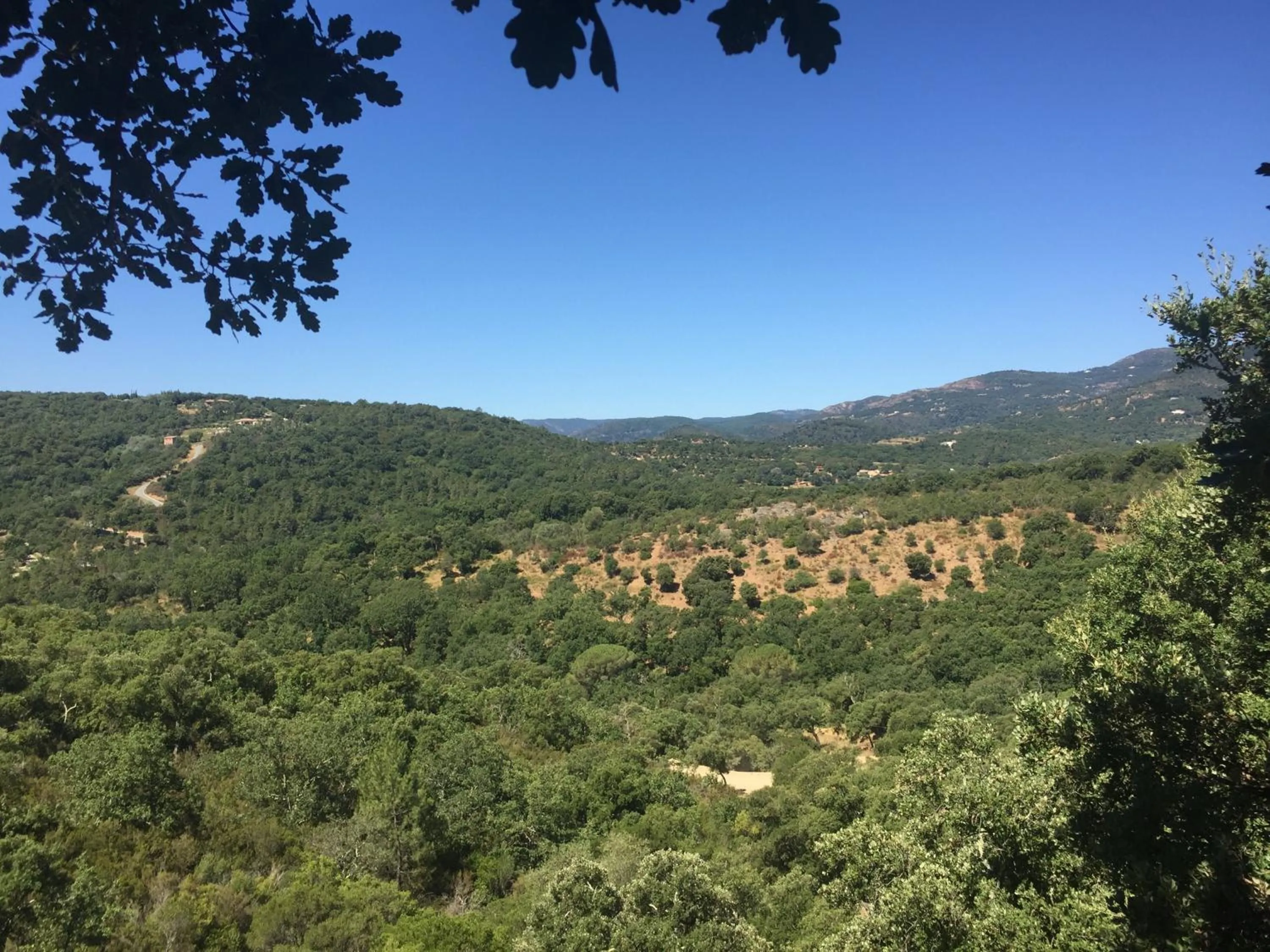 Natural landscape in Les Aurochs