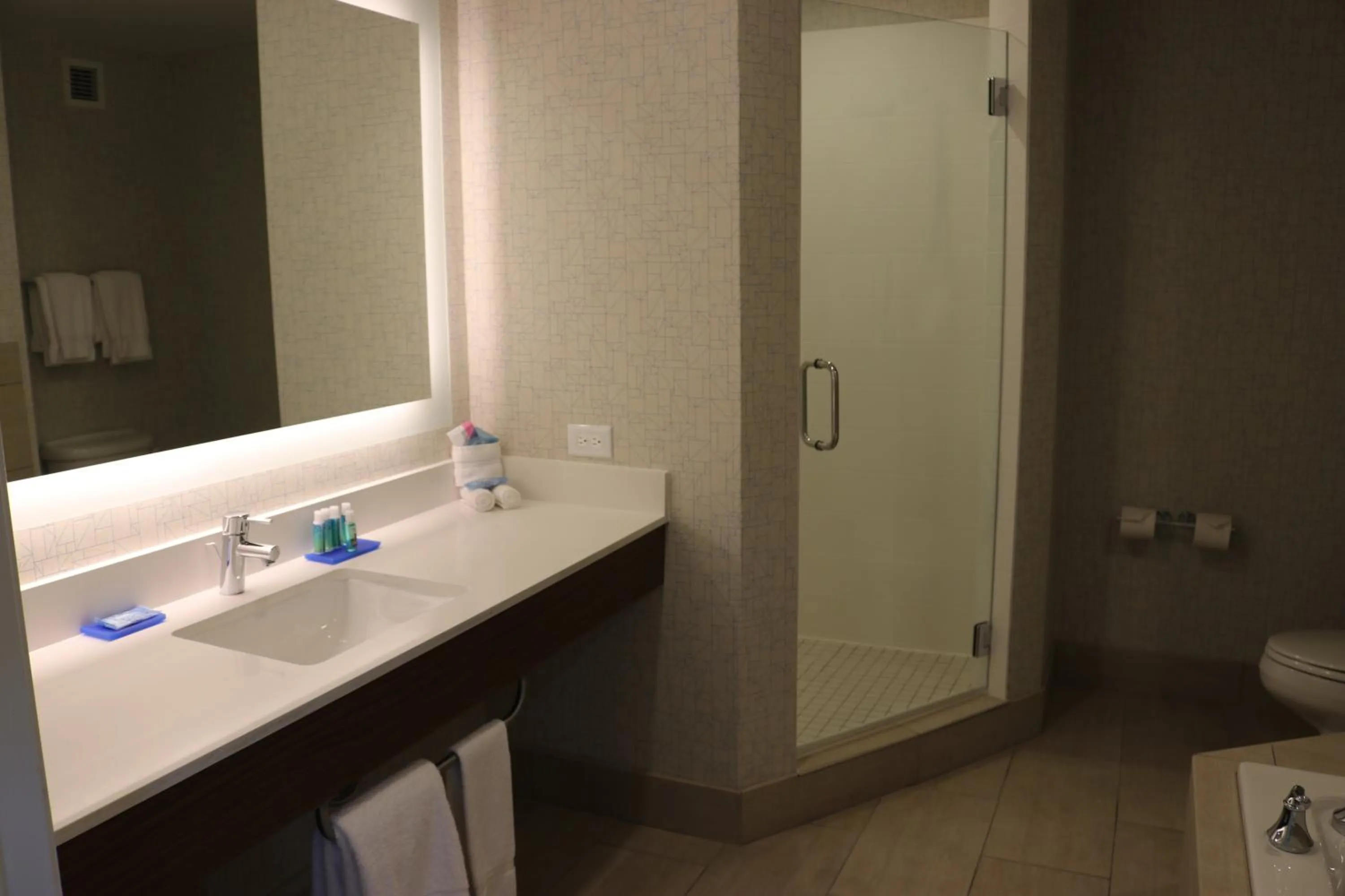 Bathroom in Holiday Inn Express Hotel & Suites El Dorado Hills by IHG