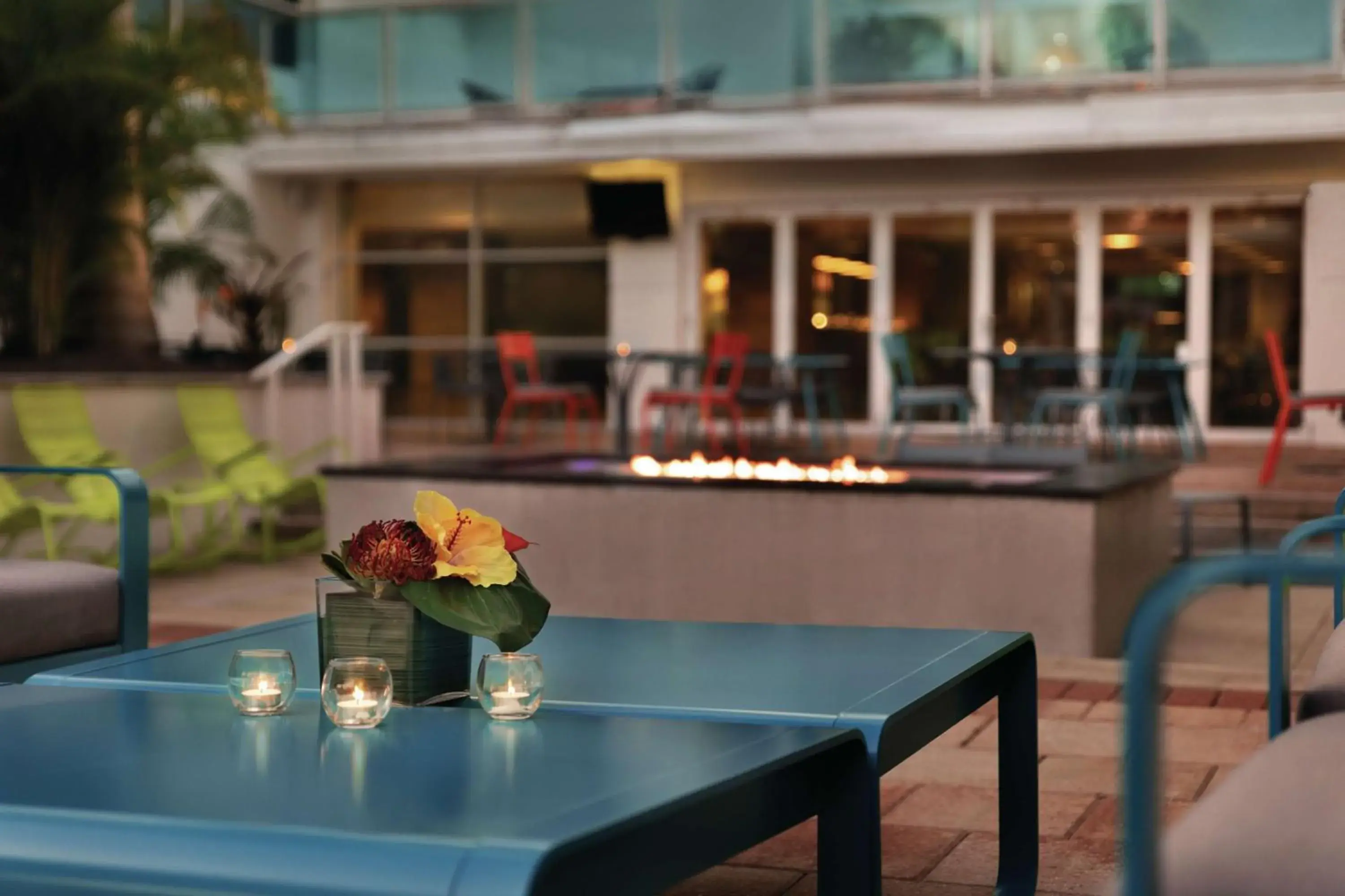 Pool view in Hotel Alba Tampa, Tapestry Collection By Hilton Pool view in Hotel Alba Tampa, Tapestry Collection By Hilton