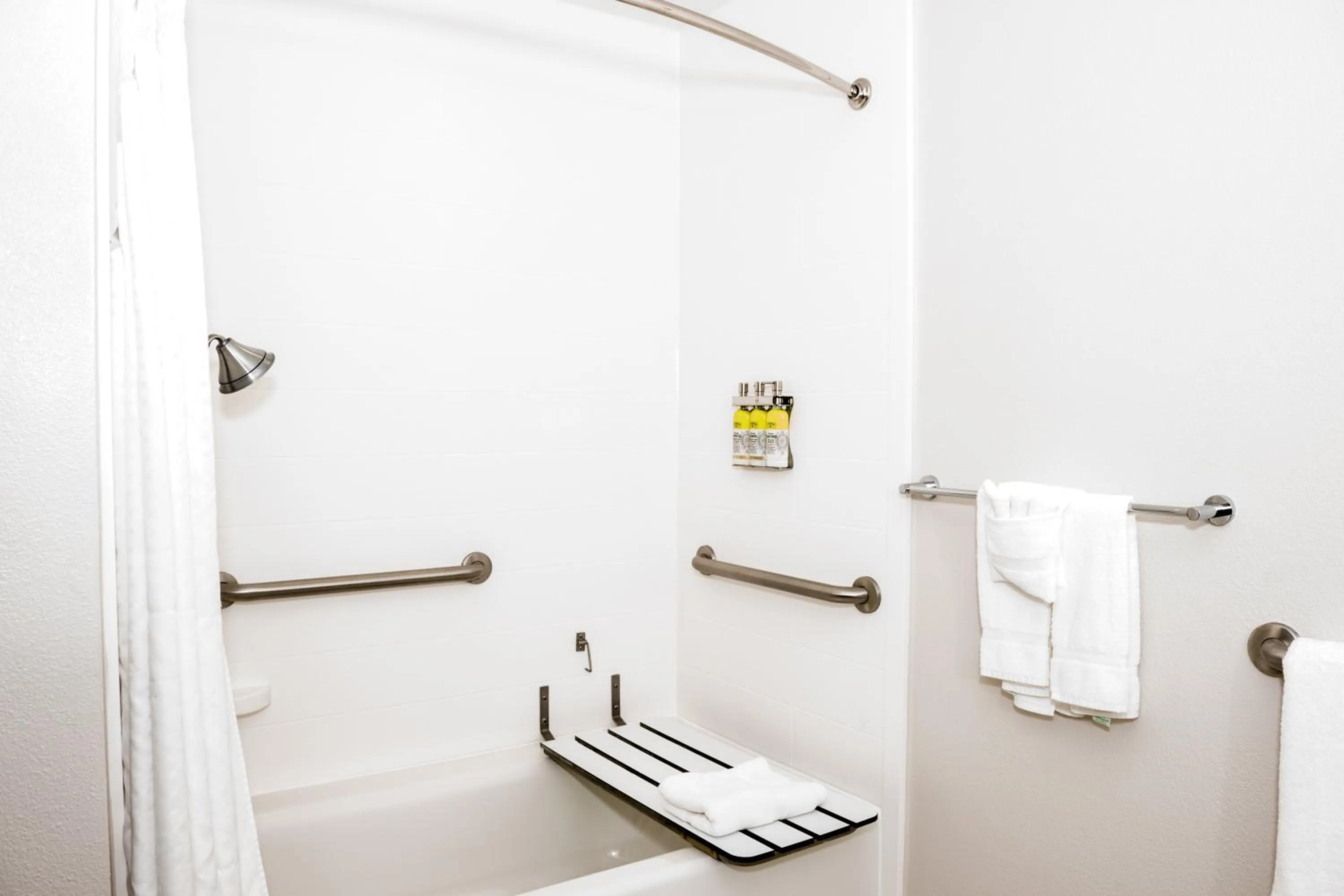 Bathroom in Holiday Inn Express Hotel & Suites Tampa-USF-Busch Gardens by IHG