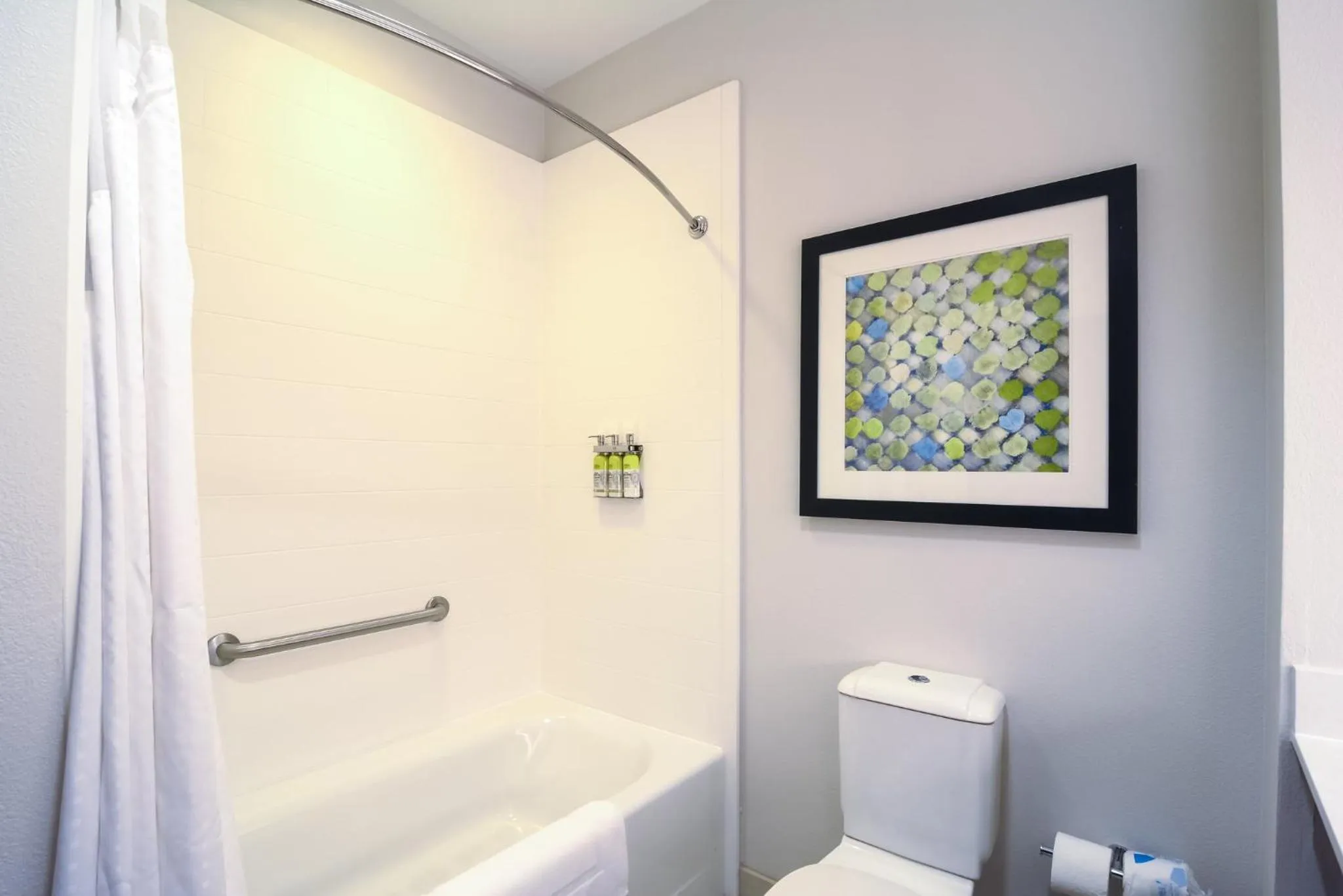Bathroom in Holiday Inn Express Hotel & Suites Tampa-USF-Busch Gardens by IHG