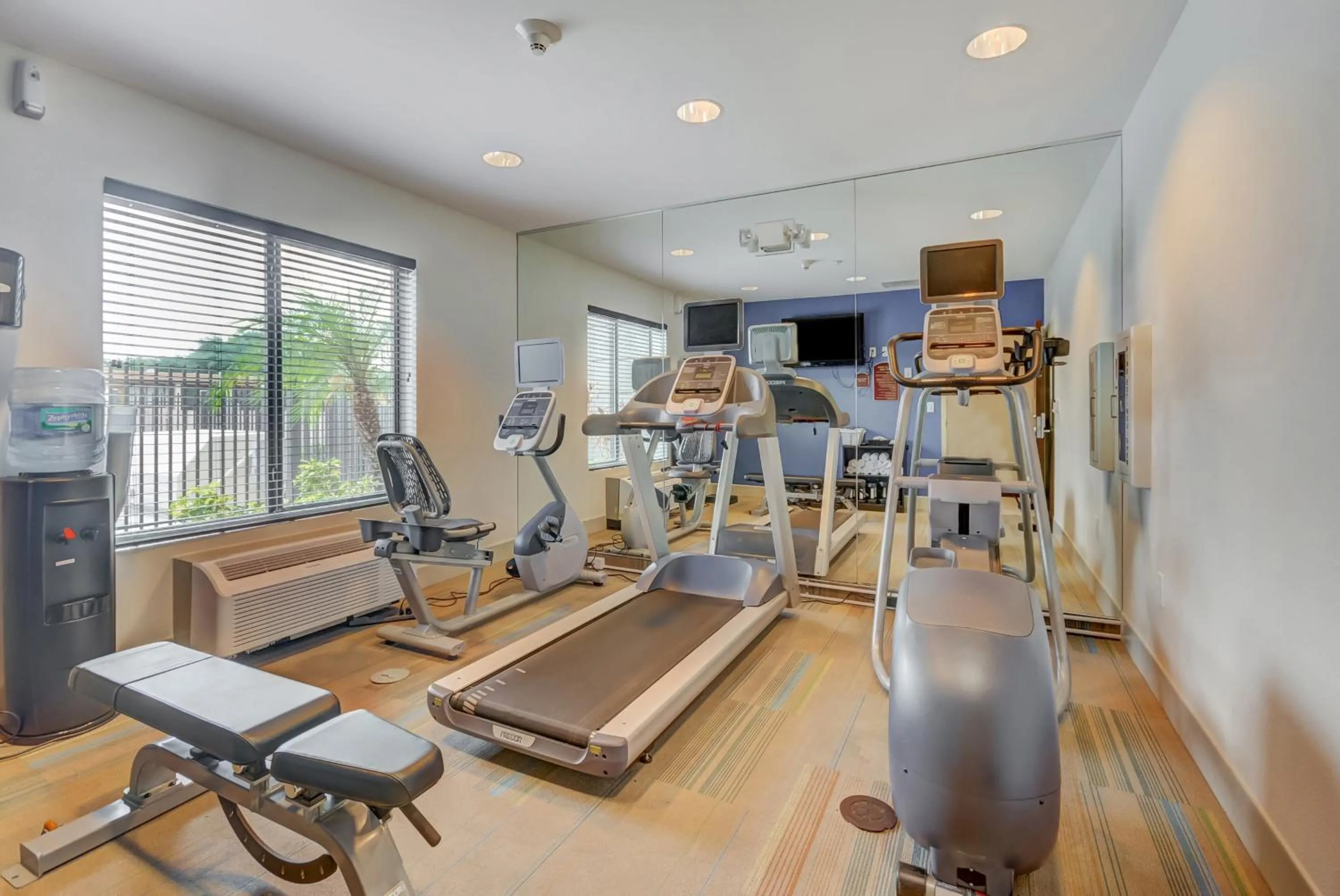 Fitness centre/facilities in Holiday Inn Express Hotel & Suites Tampa-USF-Busch Gardens by IHG