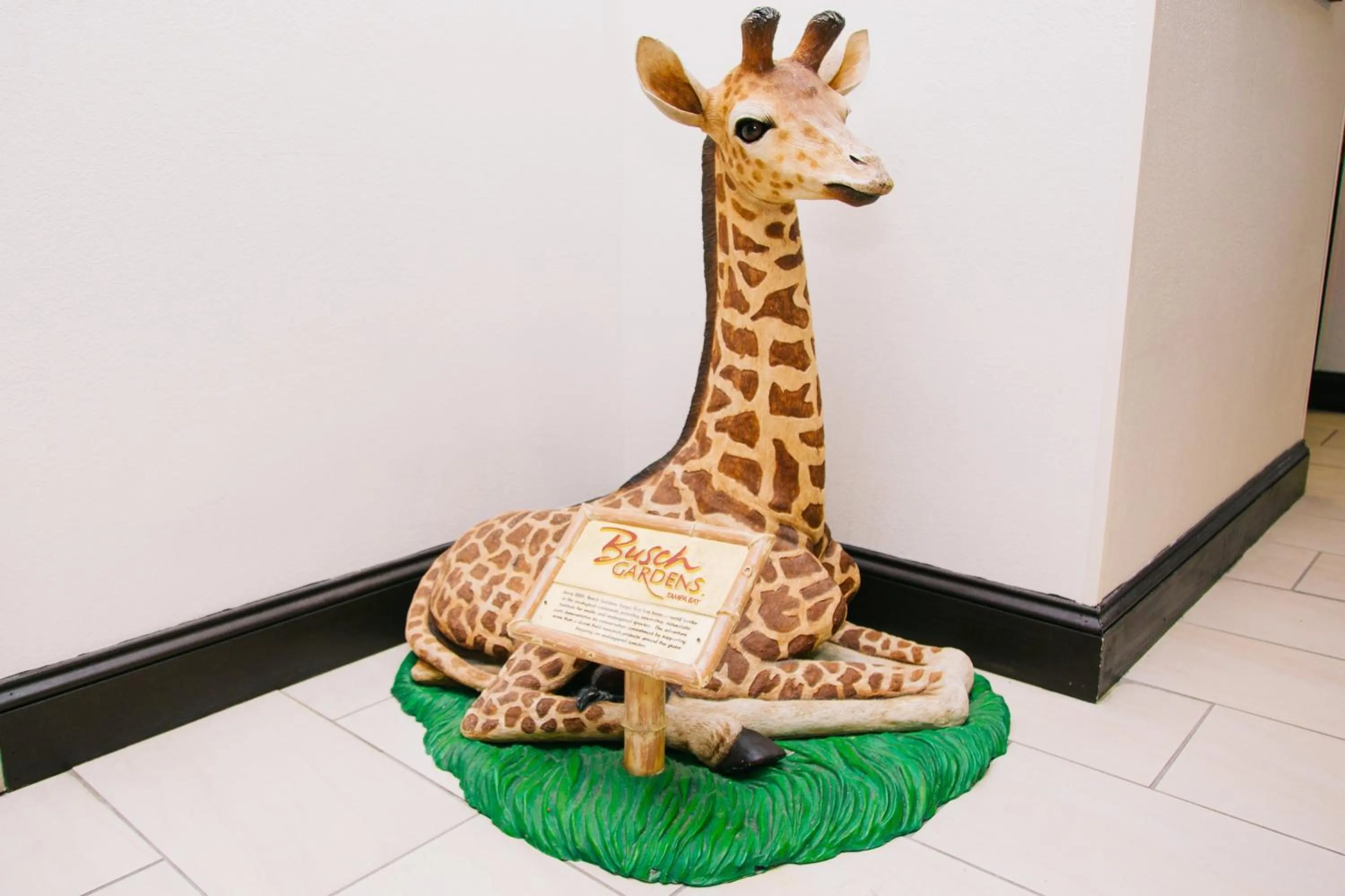 Nearby landmark in Holiday Inn Express Hotel & Suites Tampa-USF-Busch Gardens by IHG