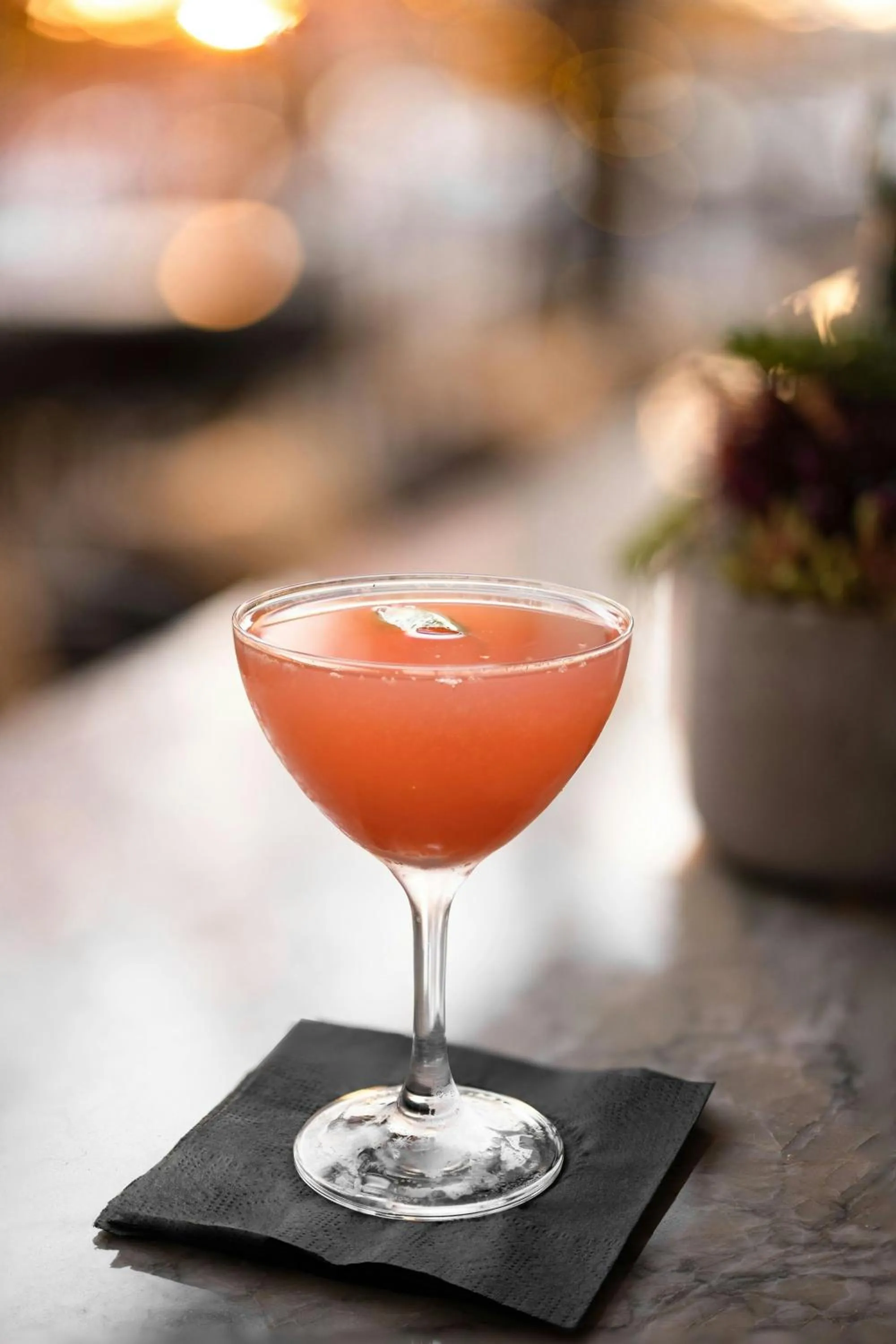 Lounge or bar in Nashville Marriott at Vanderbilt University