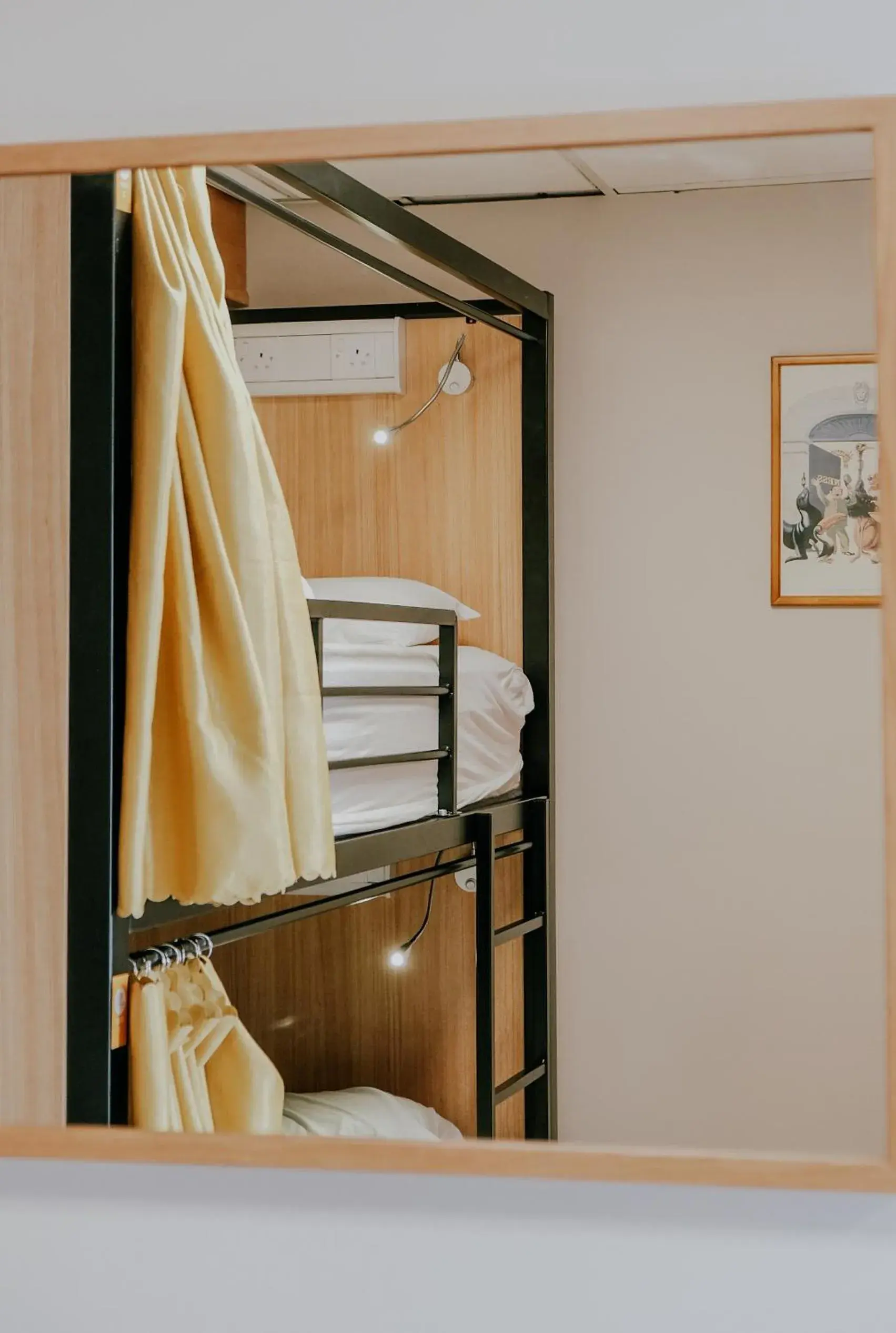 bunk bed, Bed in Garden Lane Backpackers bunk bed, Bed in Garden Lane Backpackers