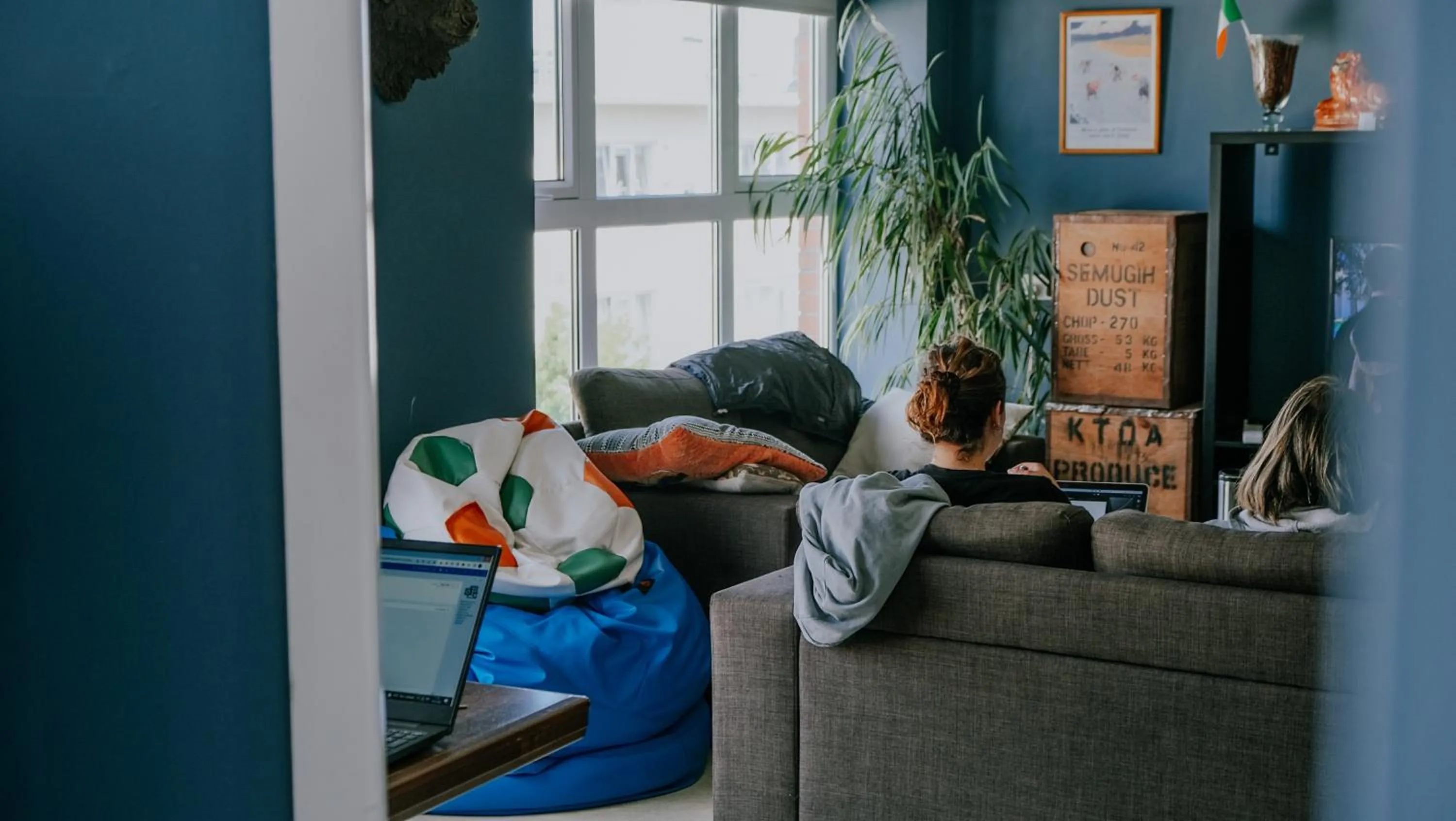 Communal lounge/ TV room in Garden Lane Backpackers