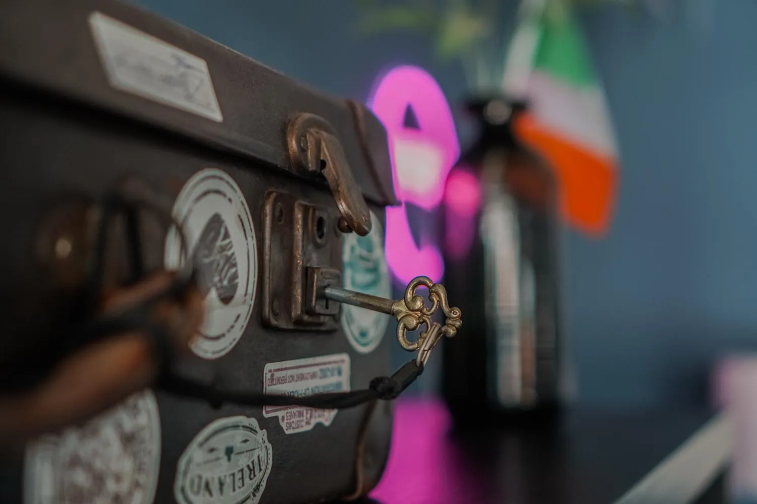 Communal lounge/ TV room in Garden Lane Backpackers