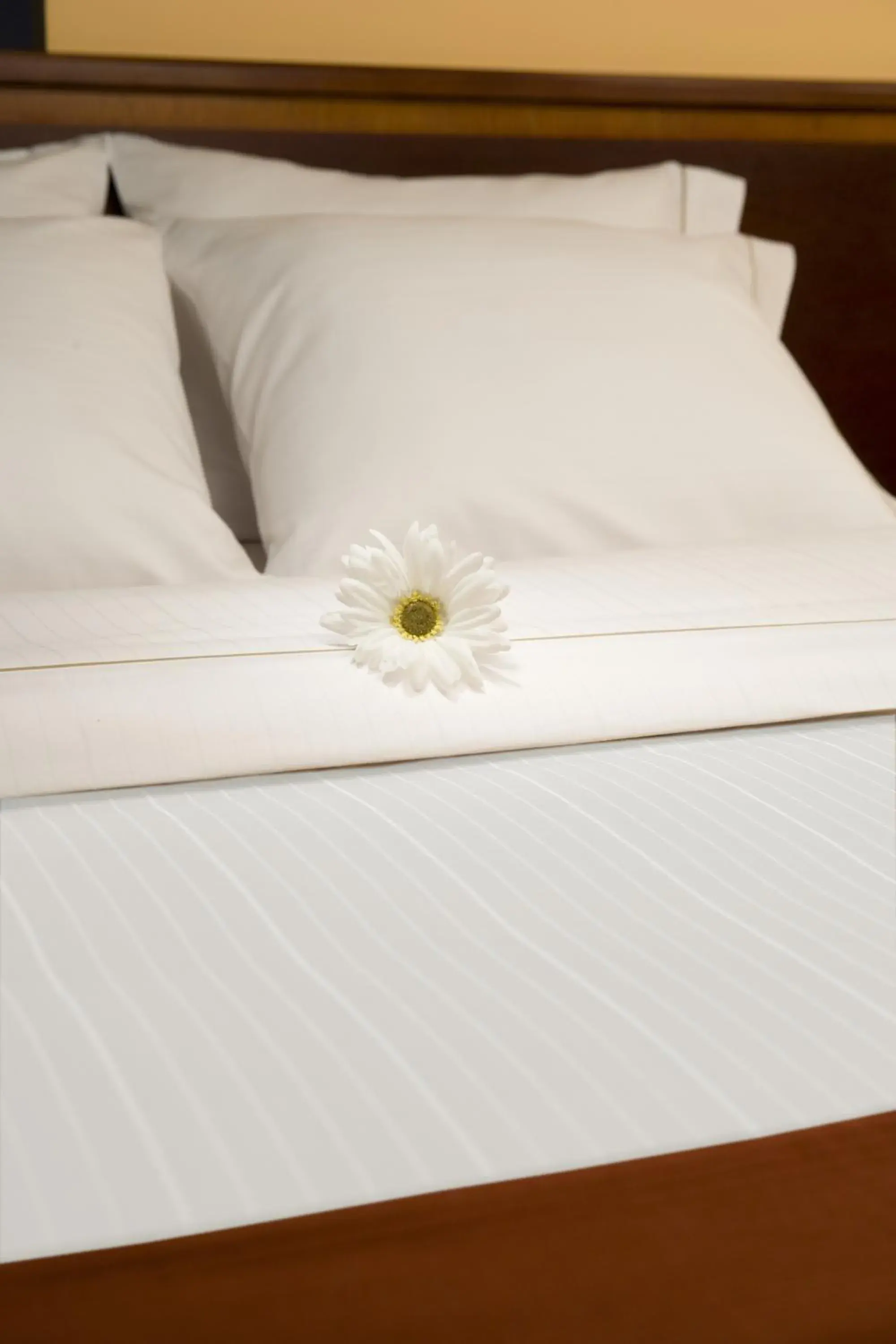 Standard Room in Holiday Inn Express Fort Wayne - East - New Haven by IHG Standard Room in Holiday Inn Express Fort Wayne - East - New Haven by IHG