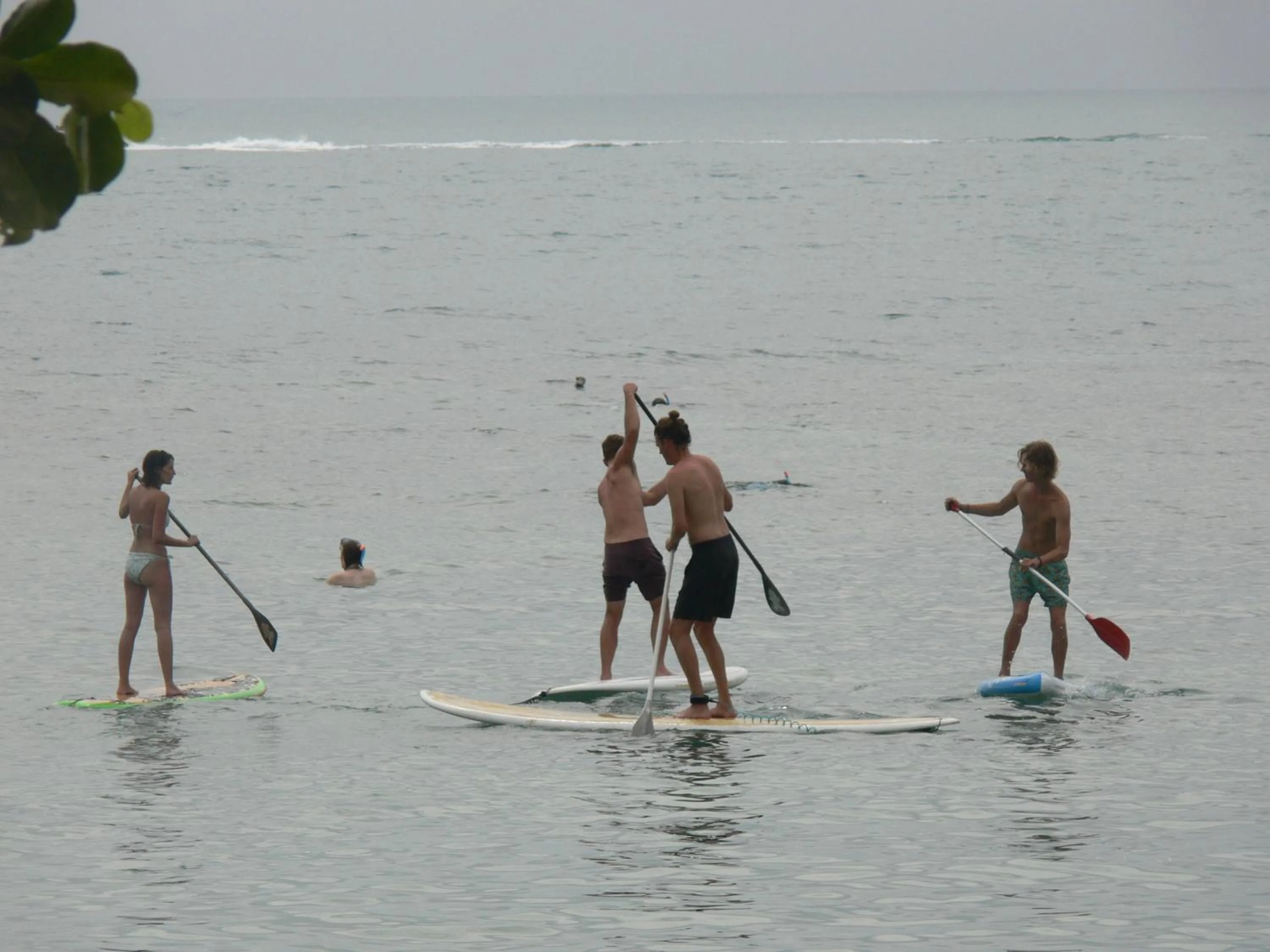 Day in Ibiza Bungalows