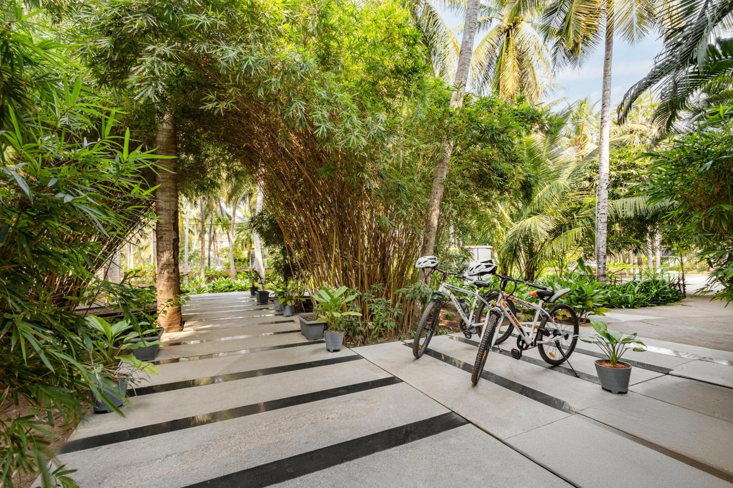 Cycling in Sterling Palavelli Godavari