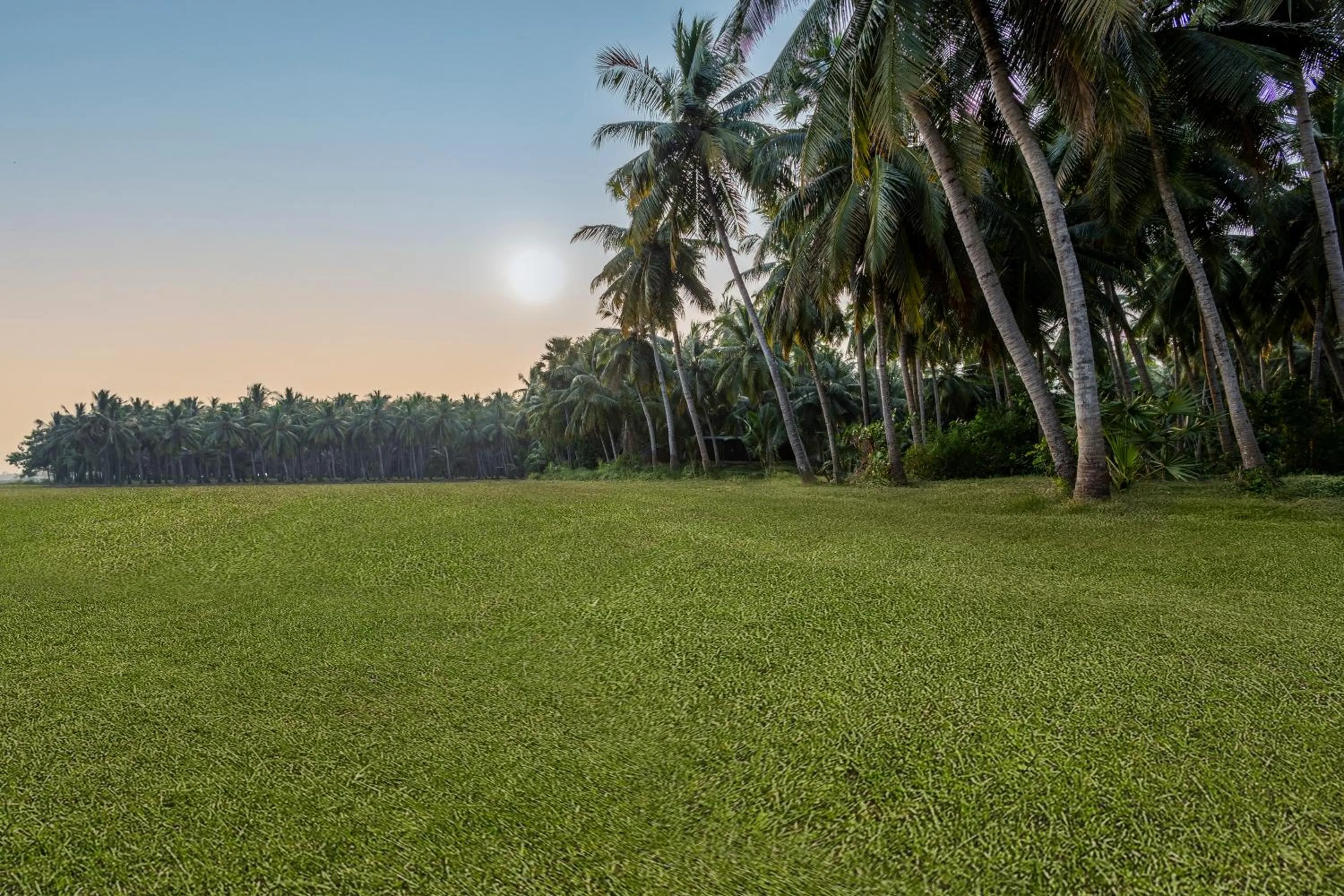 Natural landscape in Sterling Palavelli Godavari