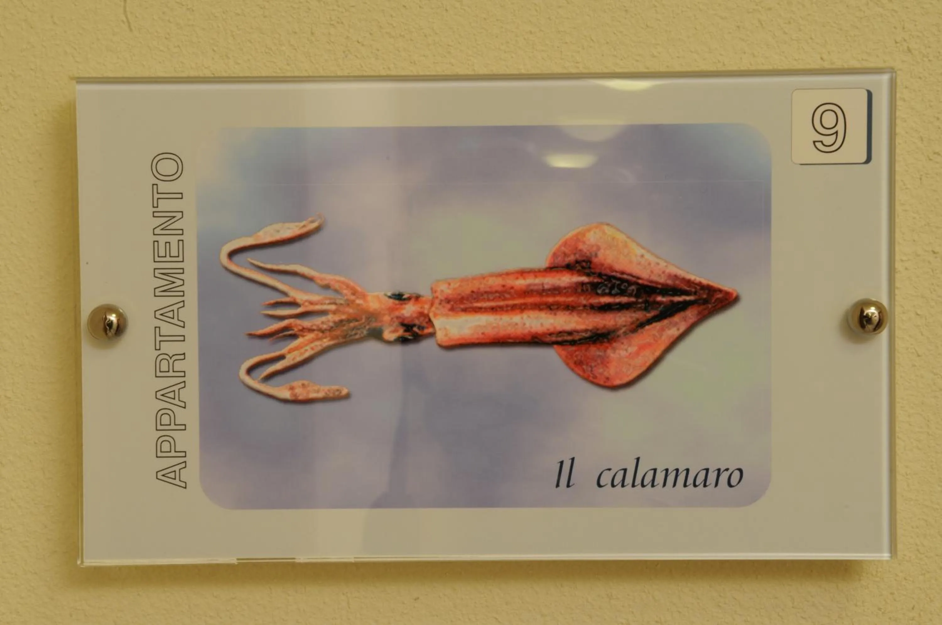 Other in Residence Belmare