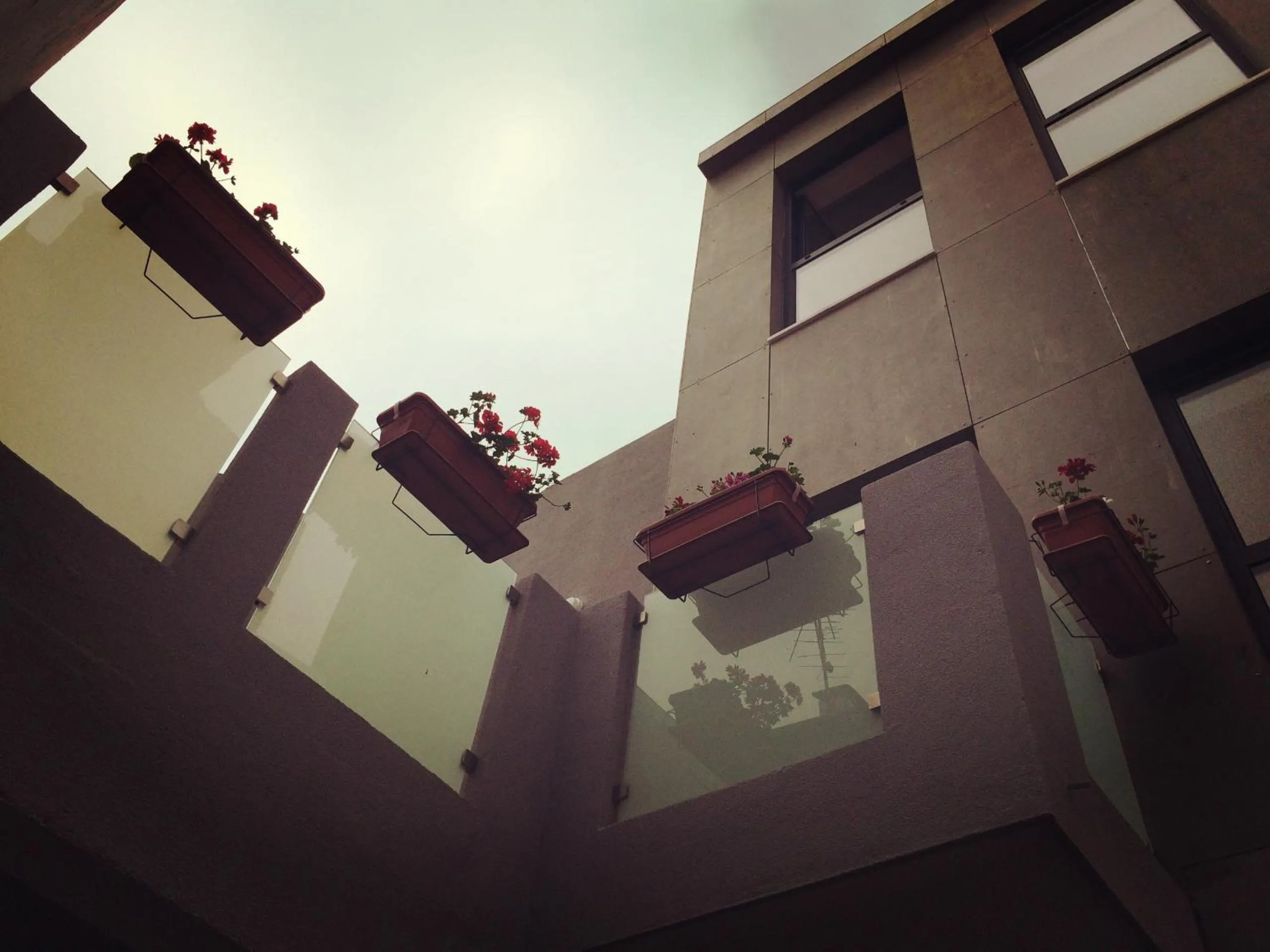 Street view in Casa dos Pátios II