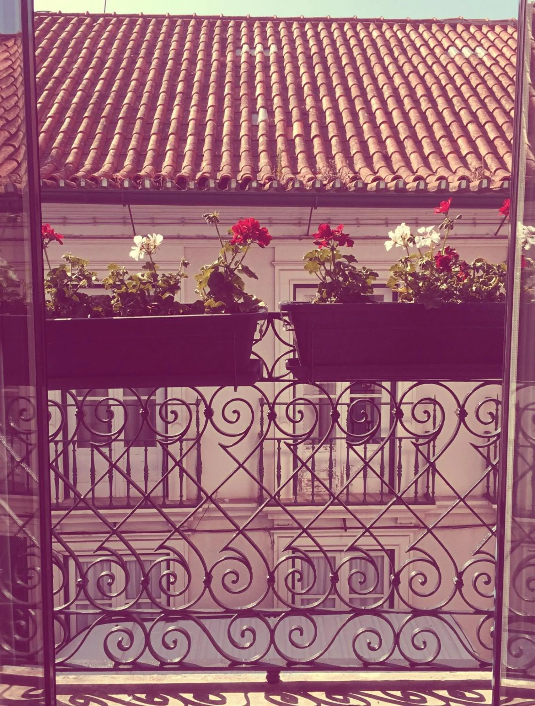 Street view in Casa dos Pátios II