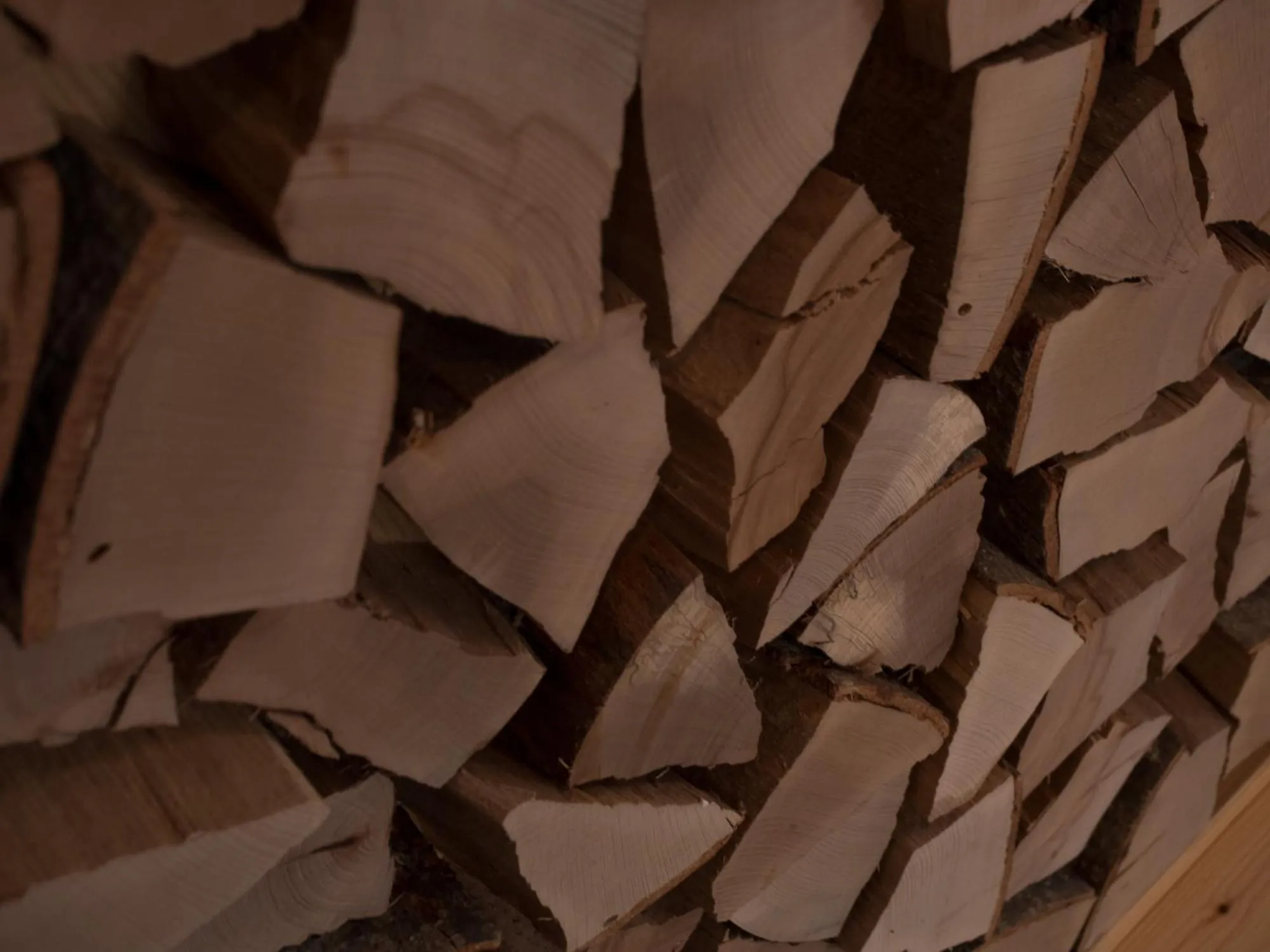 Decorative detail in Hotel Karl Schranz