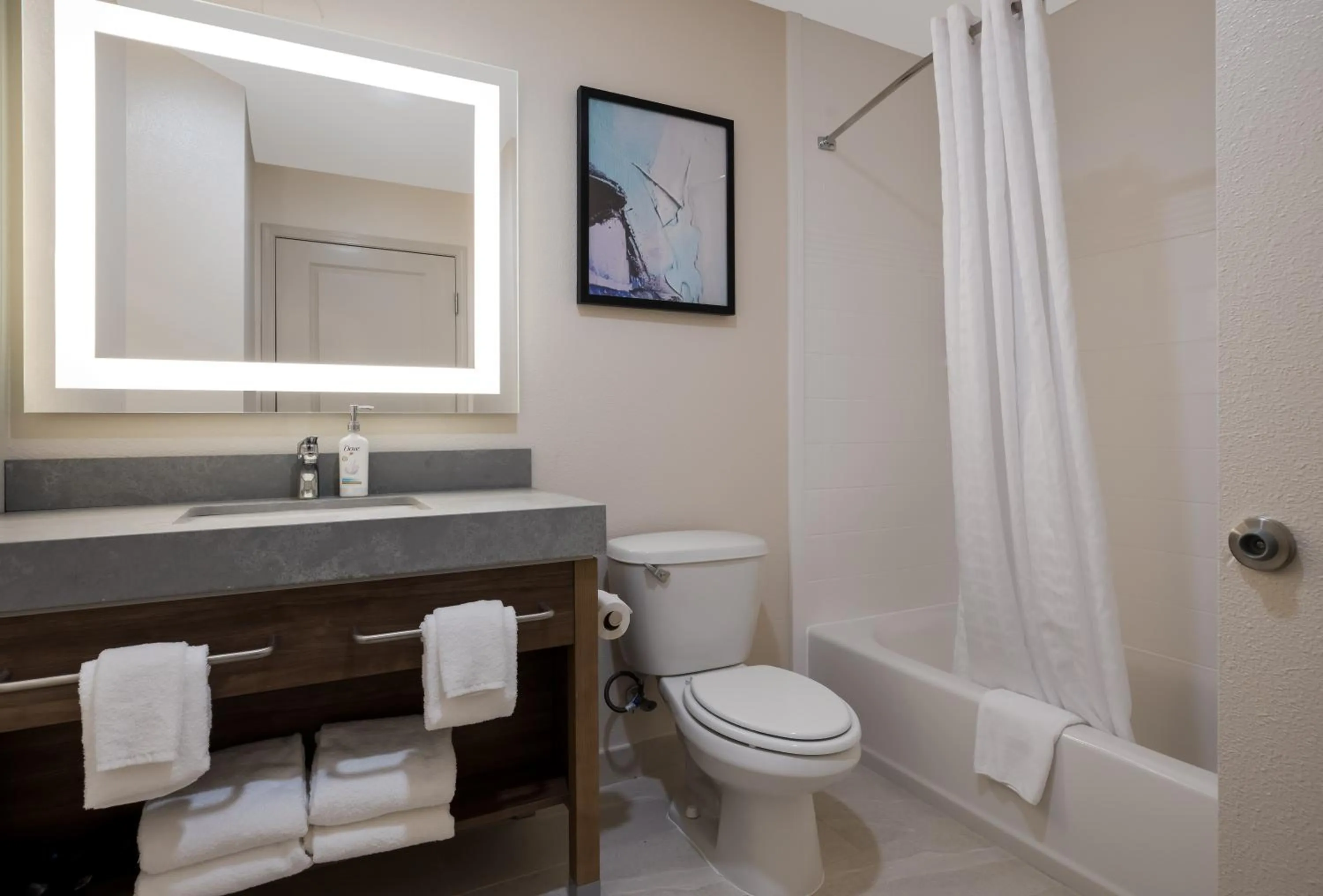 Toilet in Candlewood Suites Lafayette - River Ranch by IHG