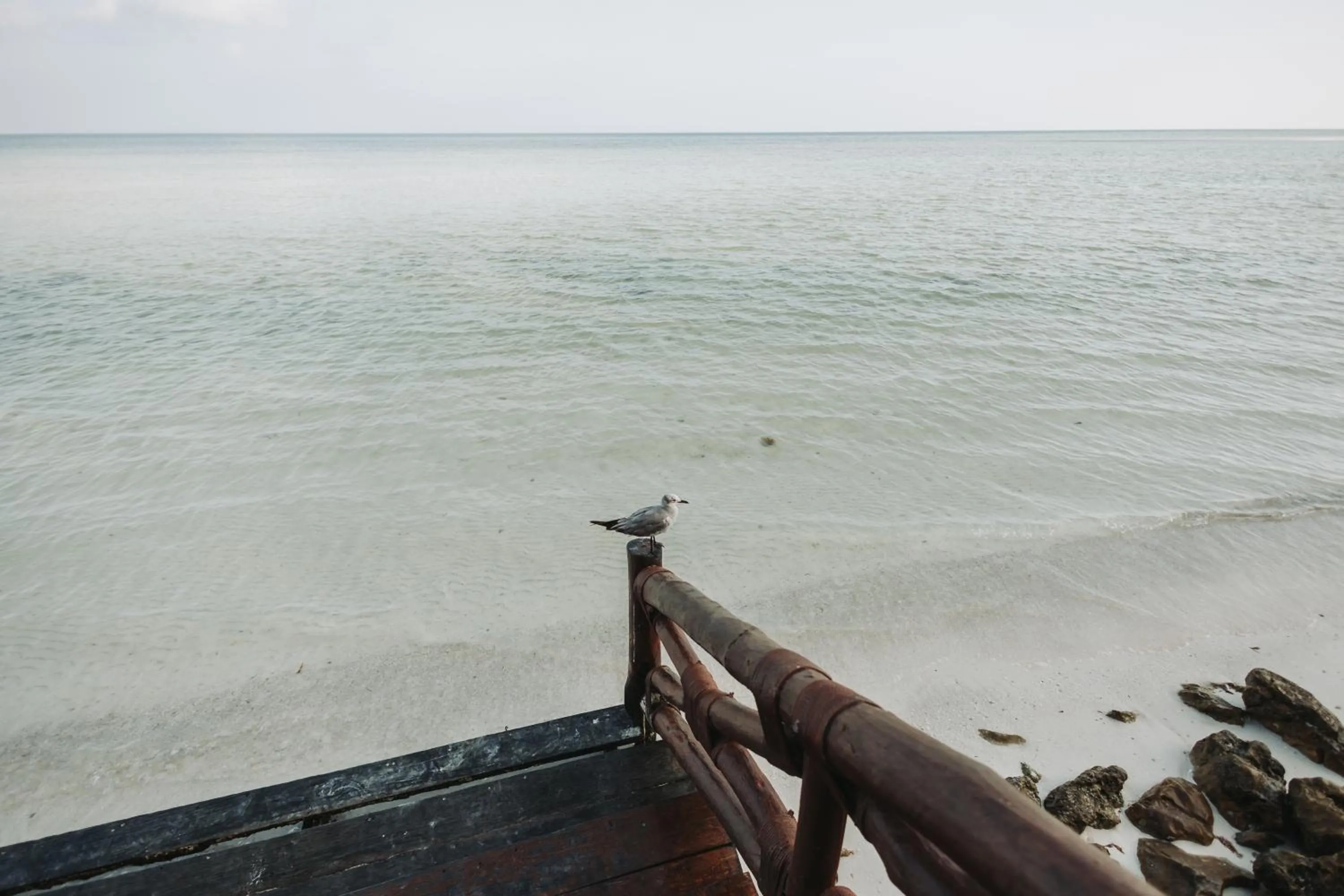 Beach in Hotel Las Nubes Holbox