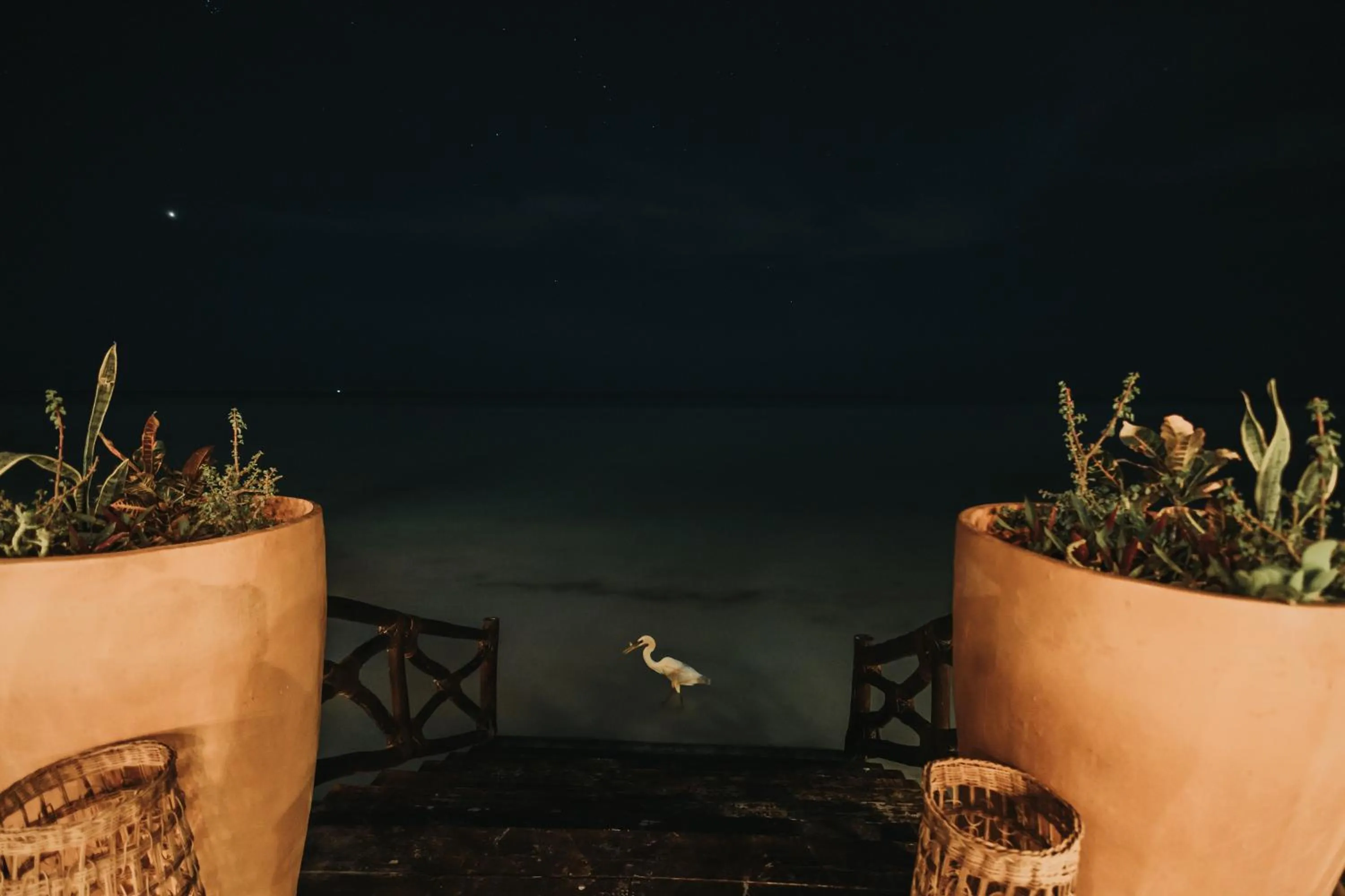 Night in Hotel Las Nubes Holbox