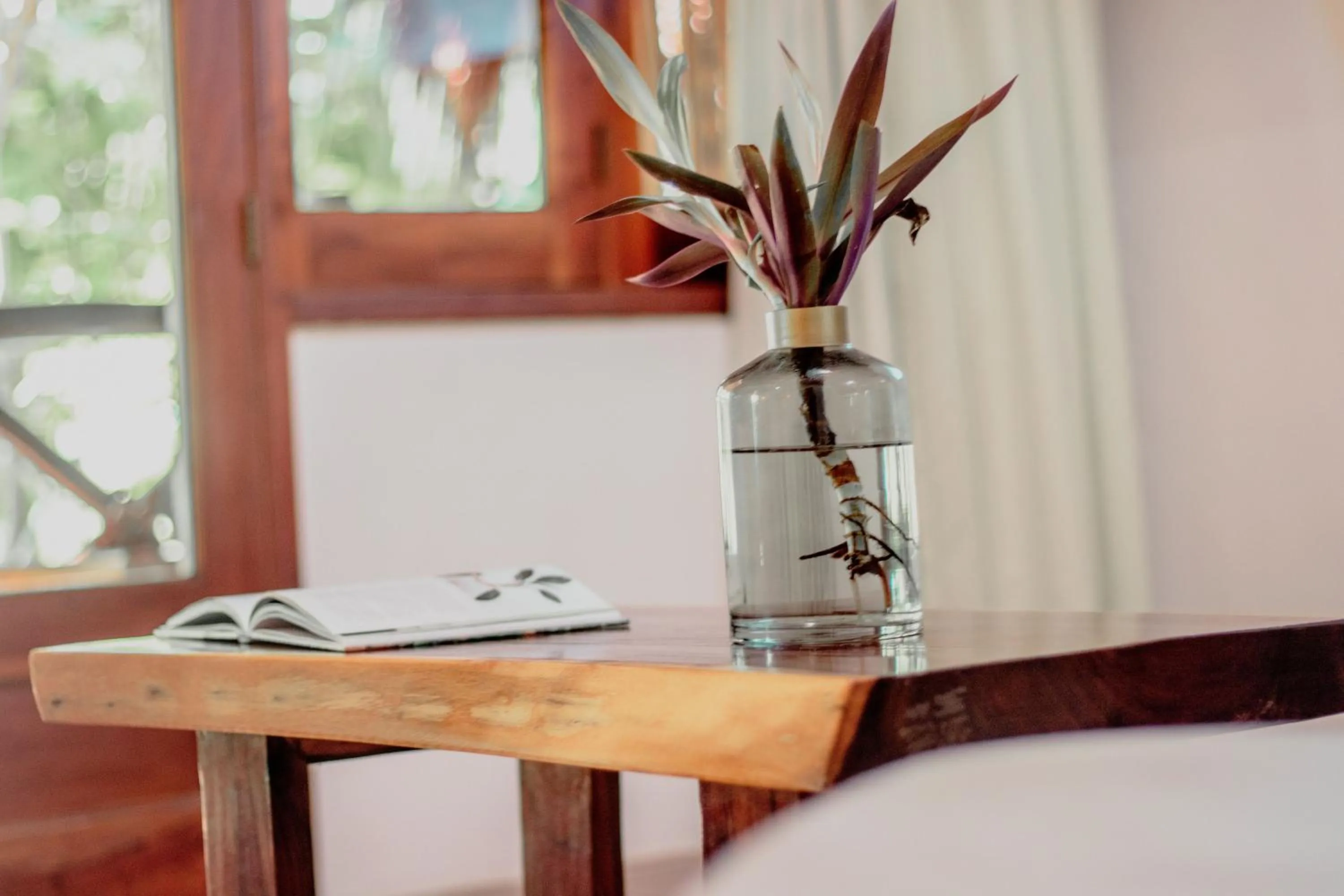 Photo of the whole room in Hotel Las Nubes Holbox