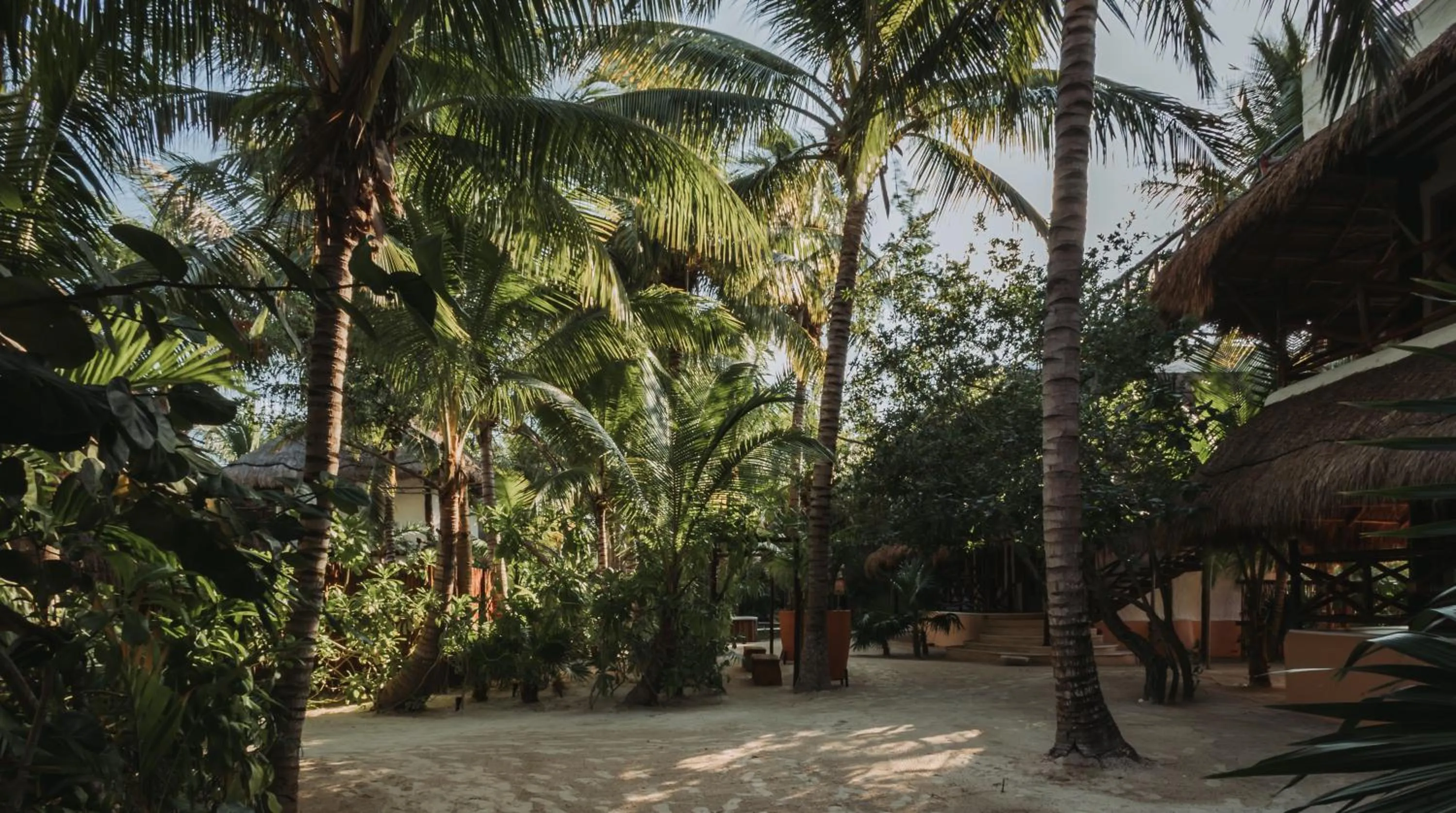 Decorative detail in Hotel Las Nubes Holbox