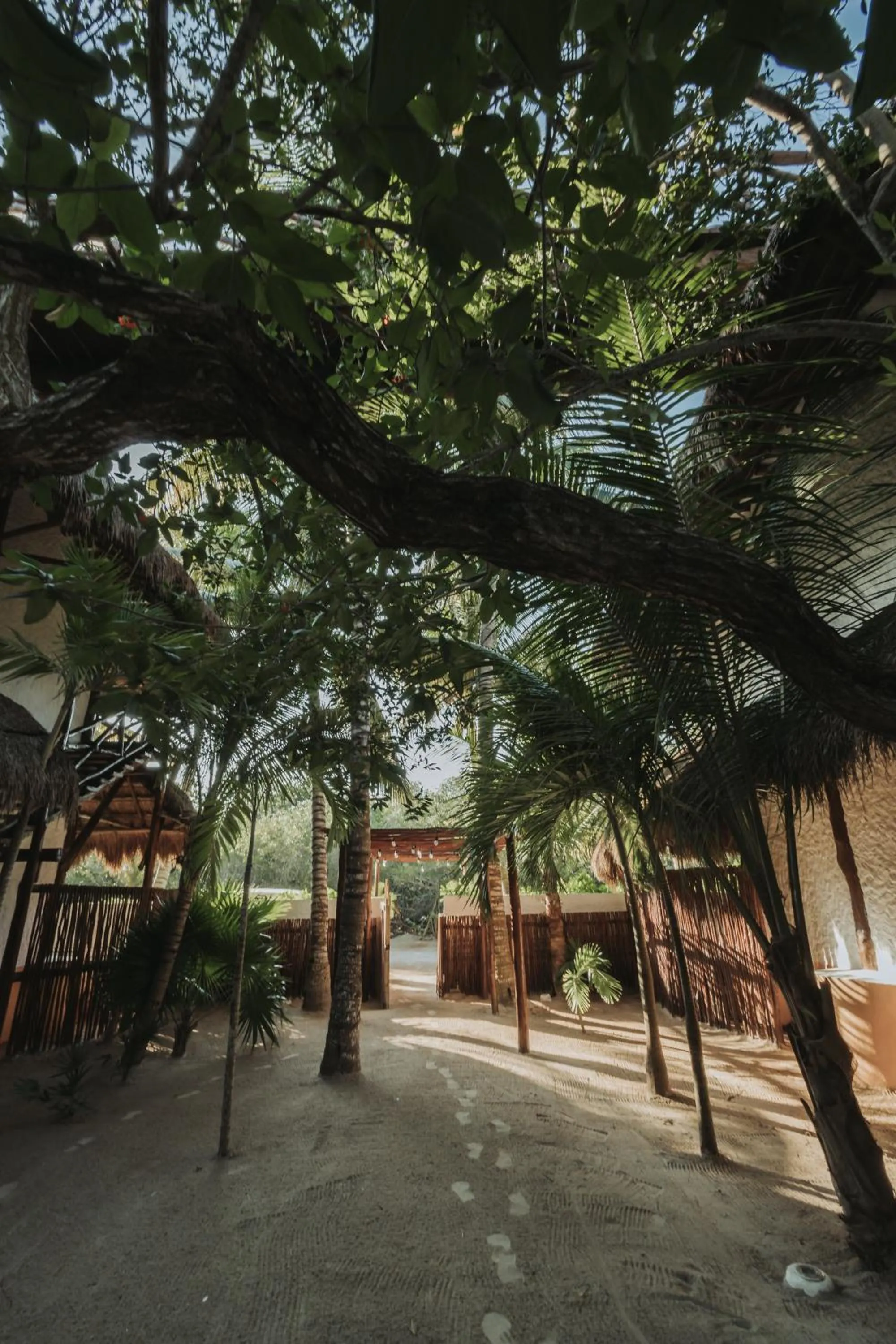 Decorative detail in Hotel Las Nubes Holbox