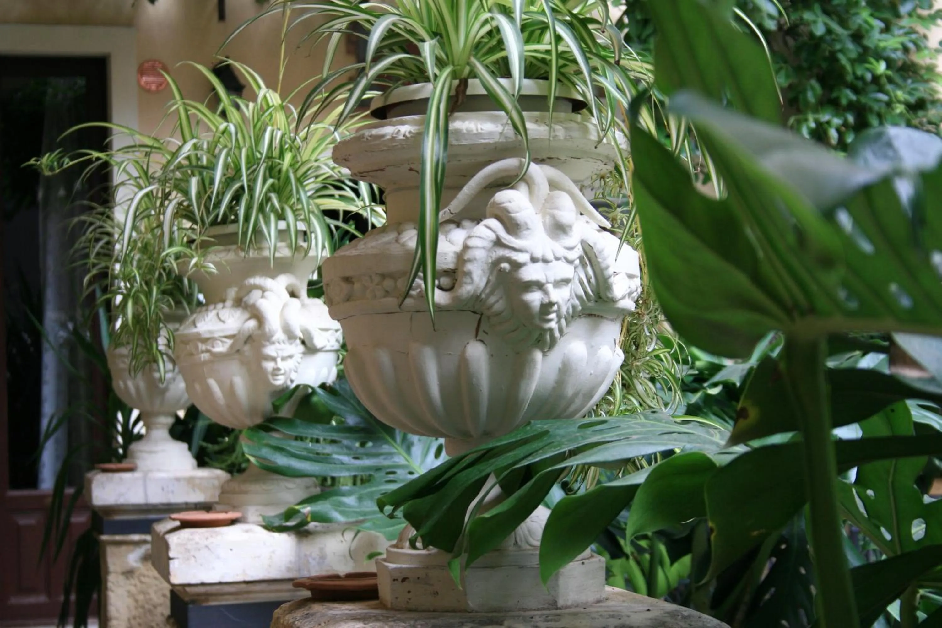 Garden in Casa Barbero Charme B&B